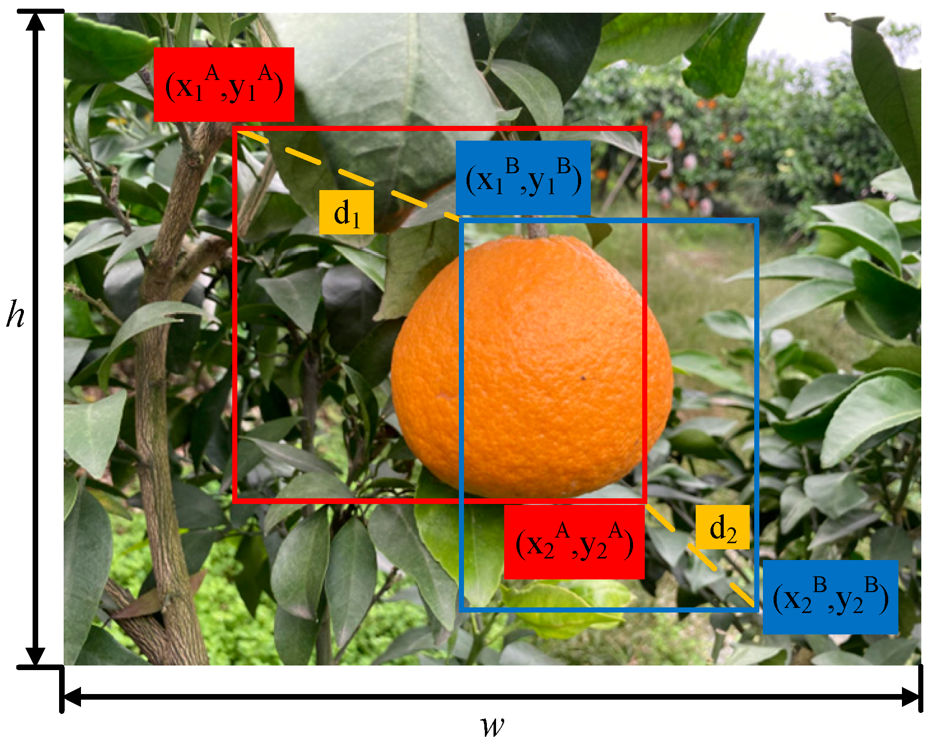 Agriculture 15 01046 g010