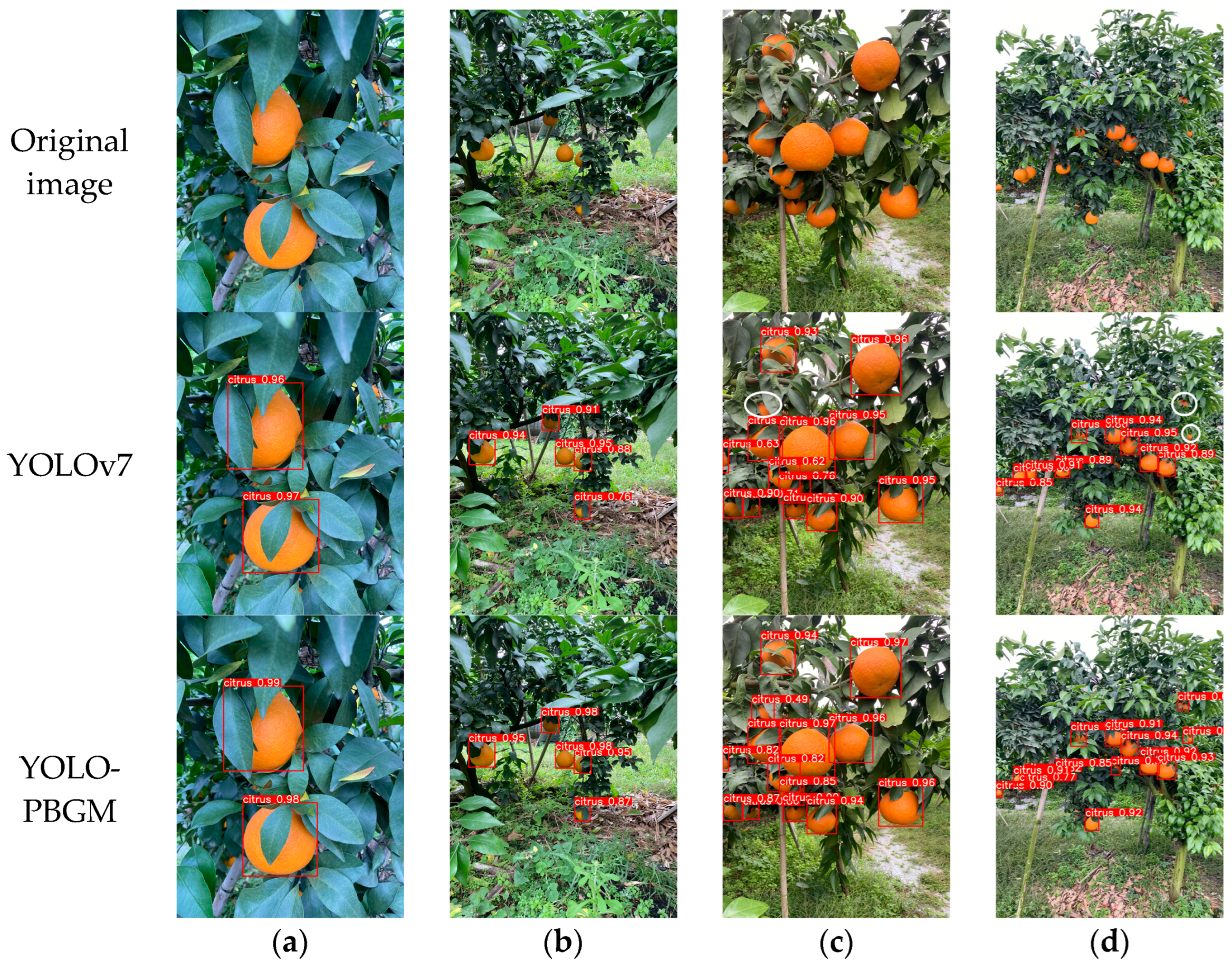 Agriculture 15 01046 g013