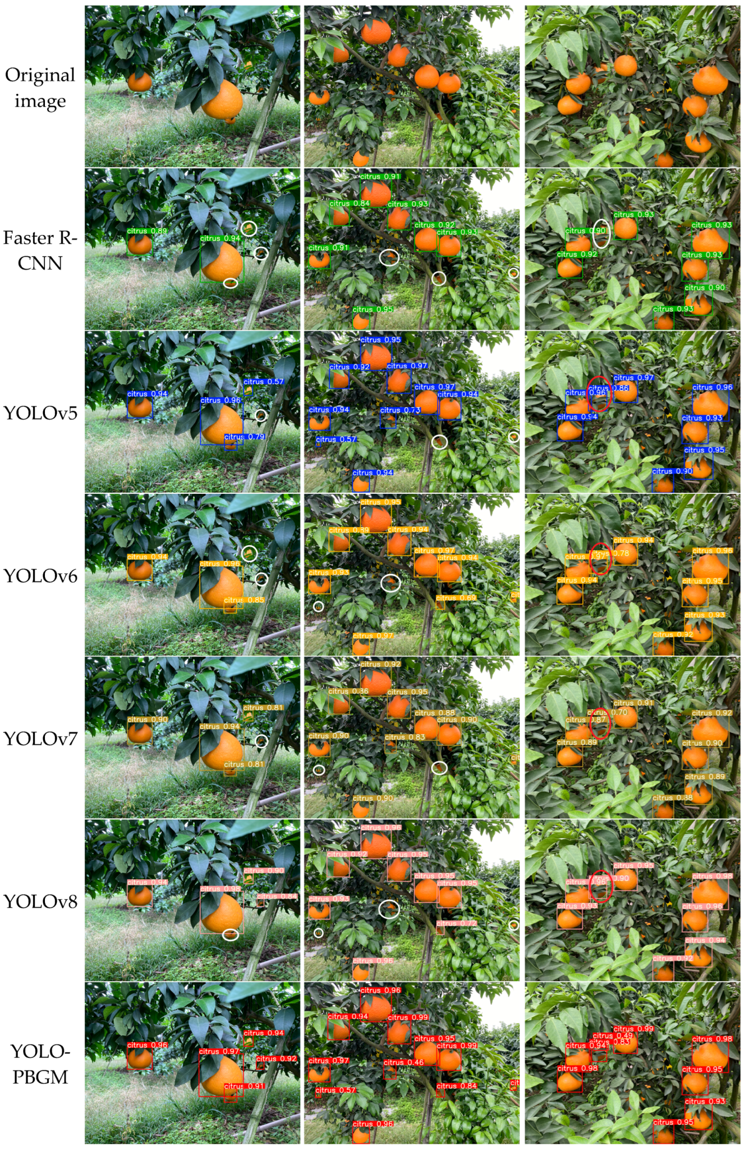 Agriculture 15 01046 g014