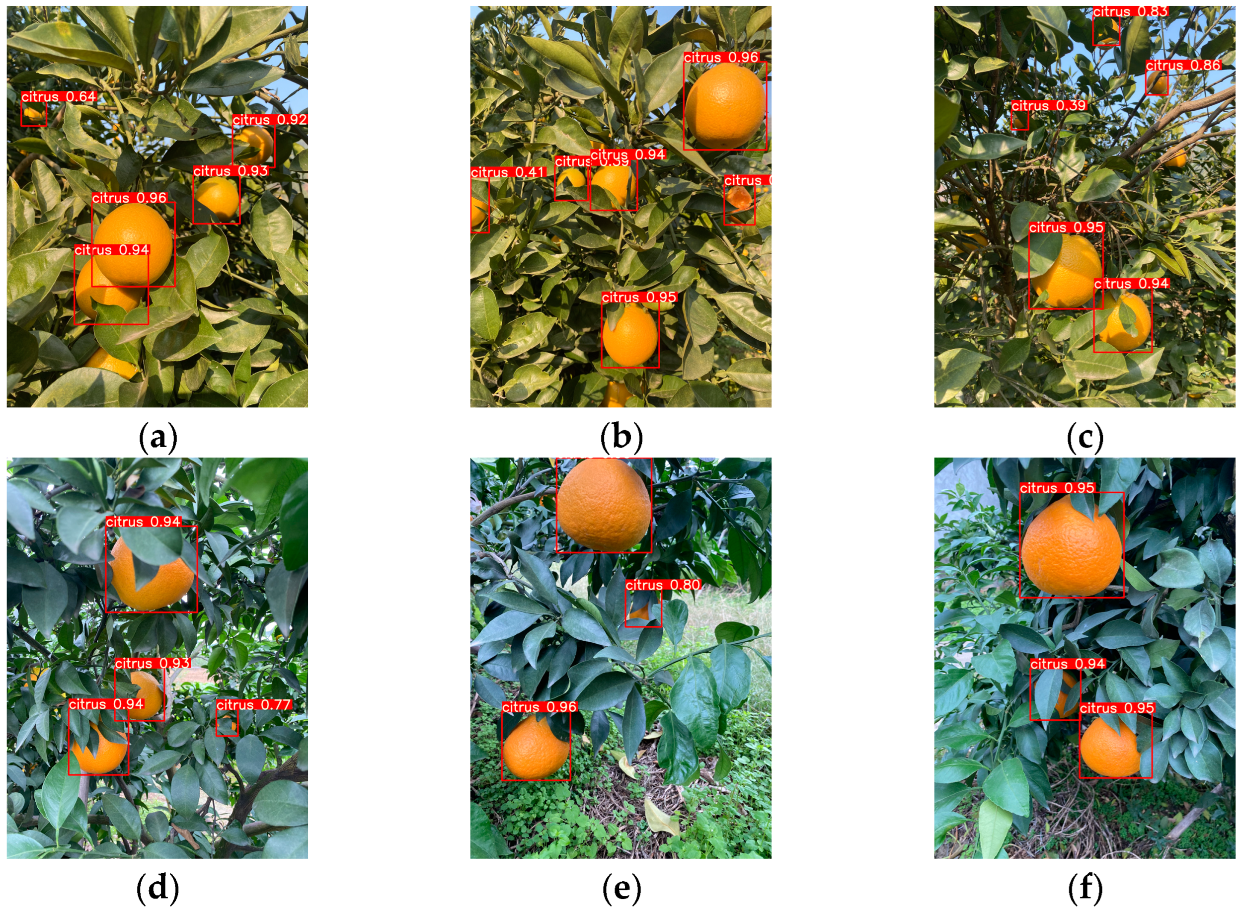 Agriculture 15 01046 g015