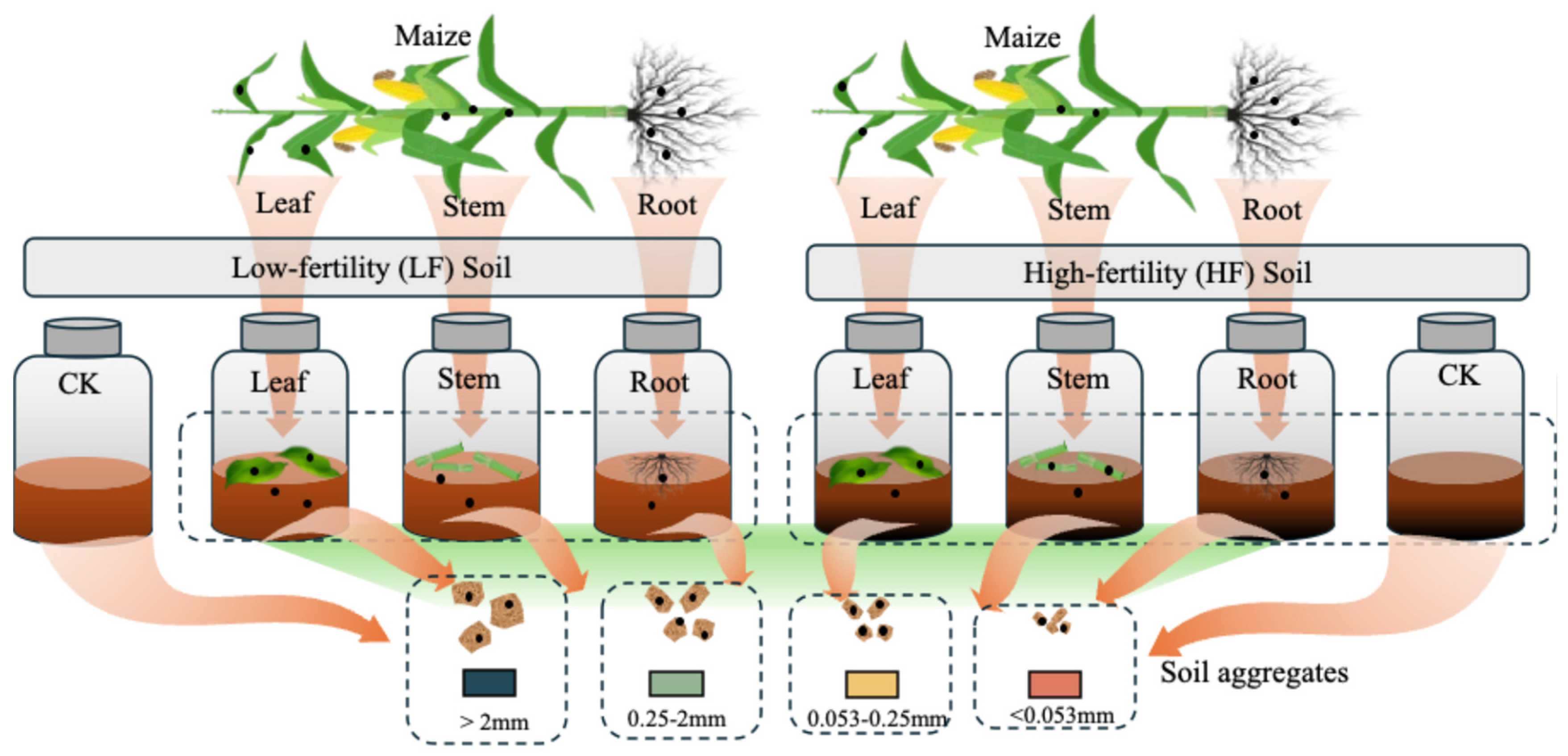 Agriculture 15 01050 g001