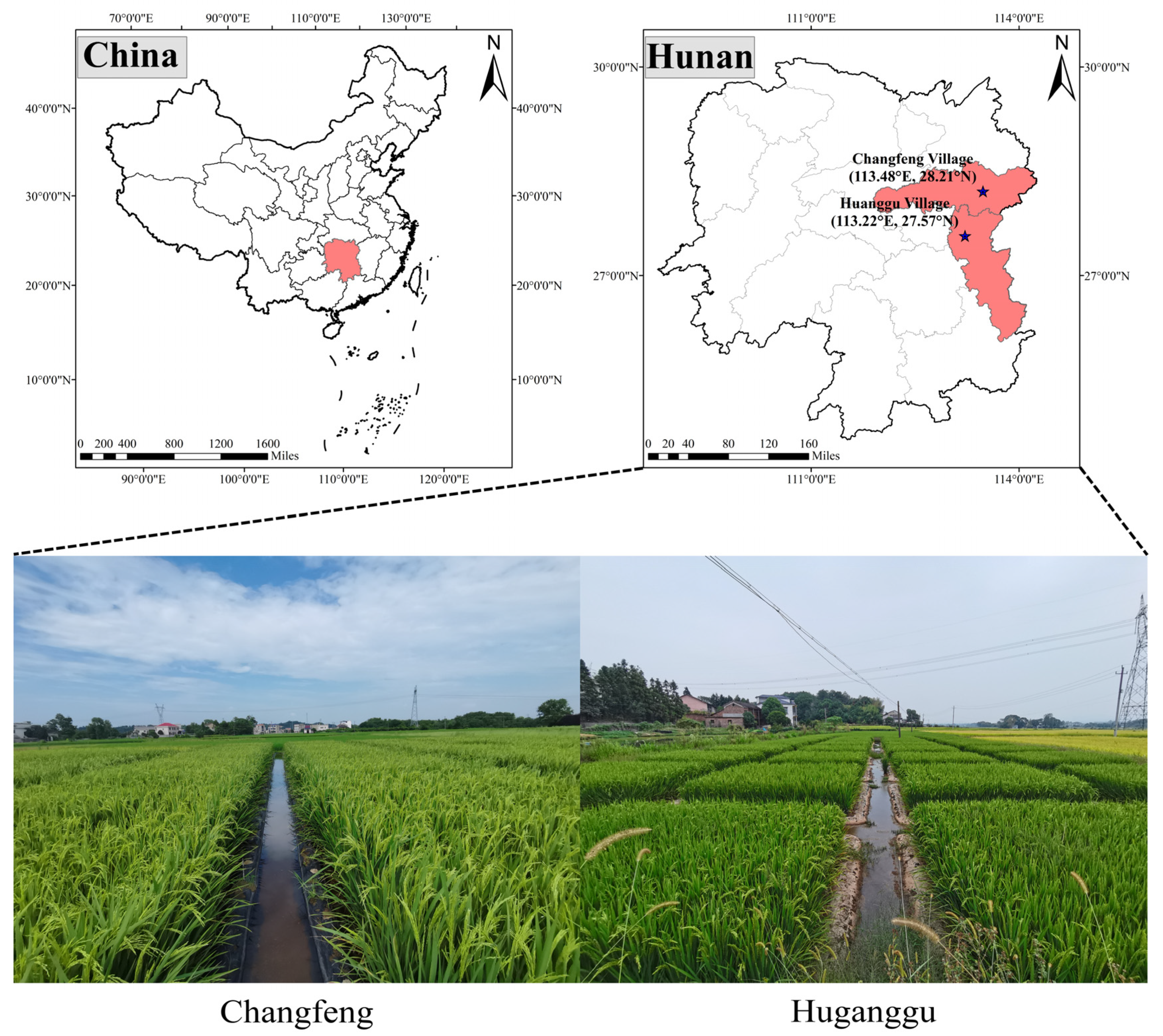 Agriculture 15 01052 g001