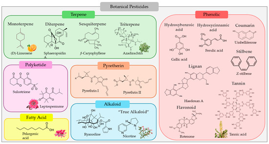 Analysis of the Environmental Impact of Botanical Pesticides