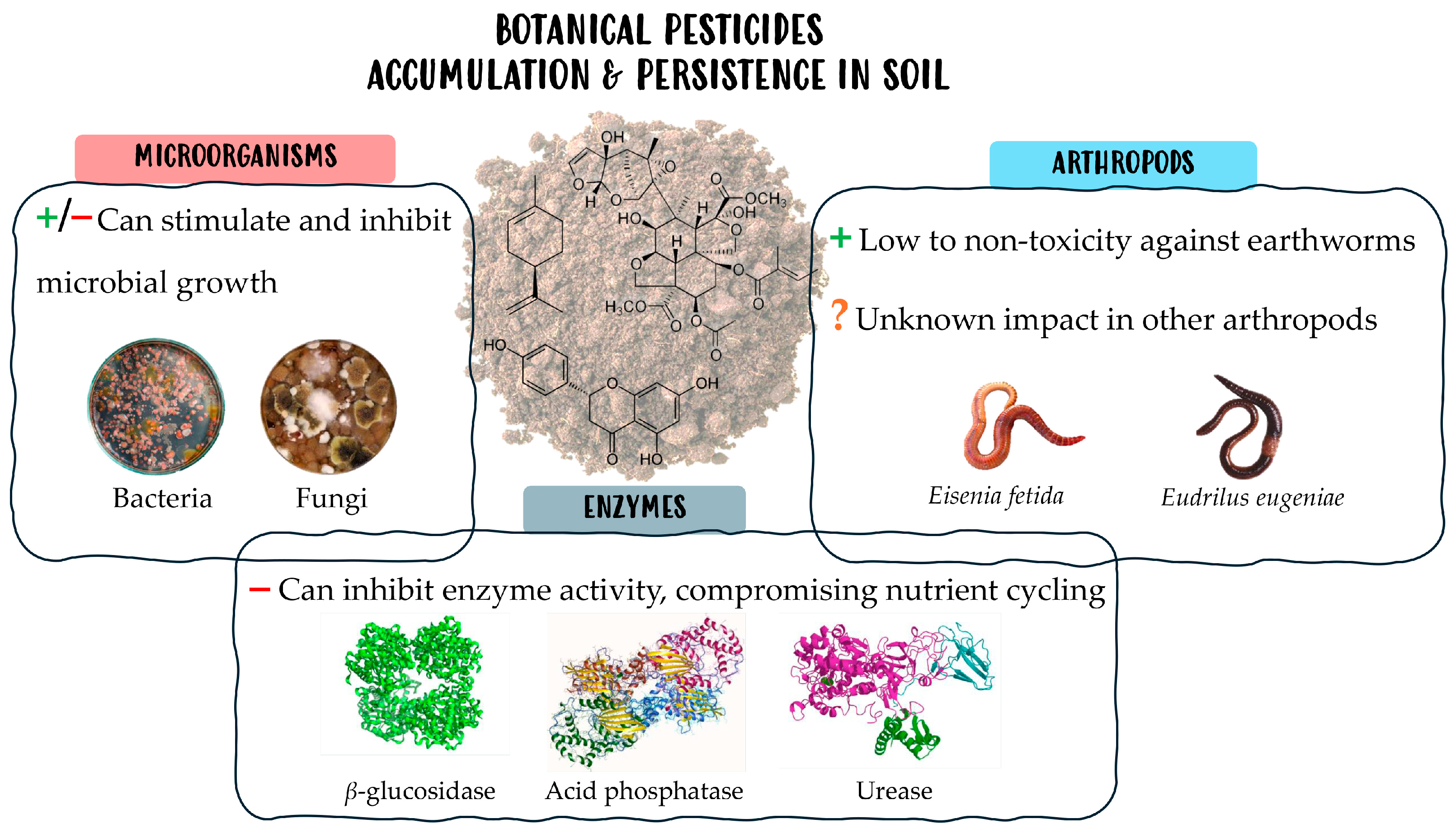 Agriculture 15 01053 g002