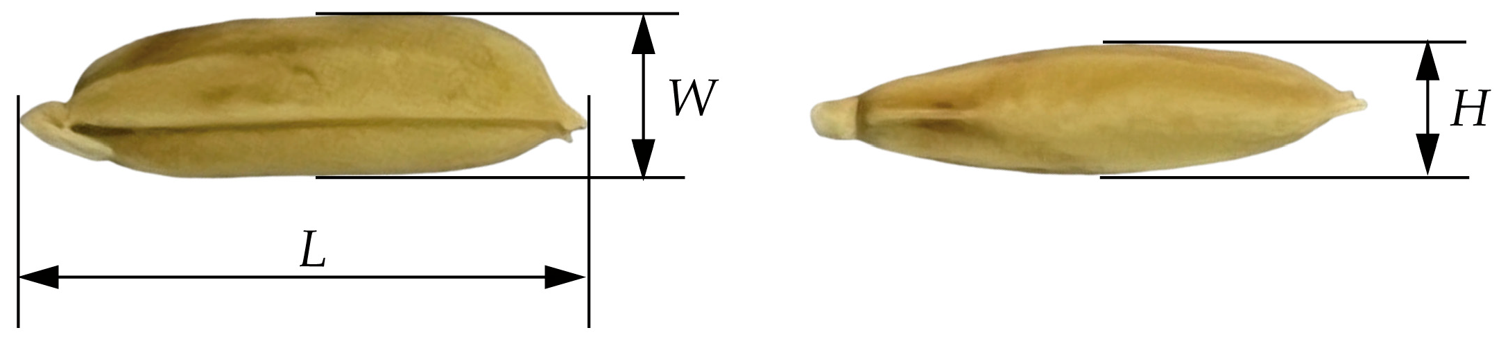 Agriculture 15 01058 g001