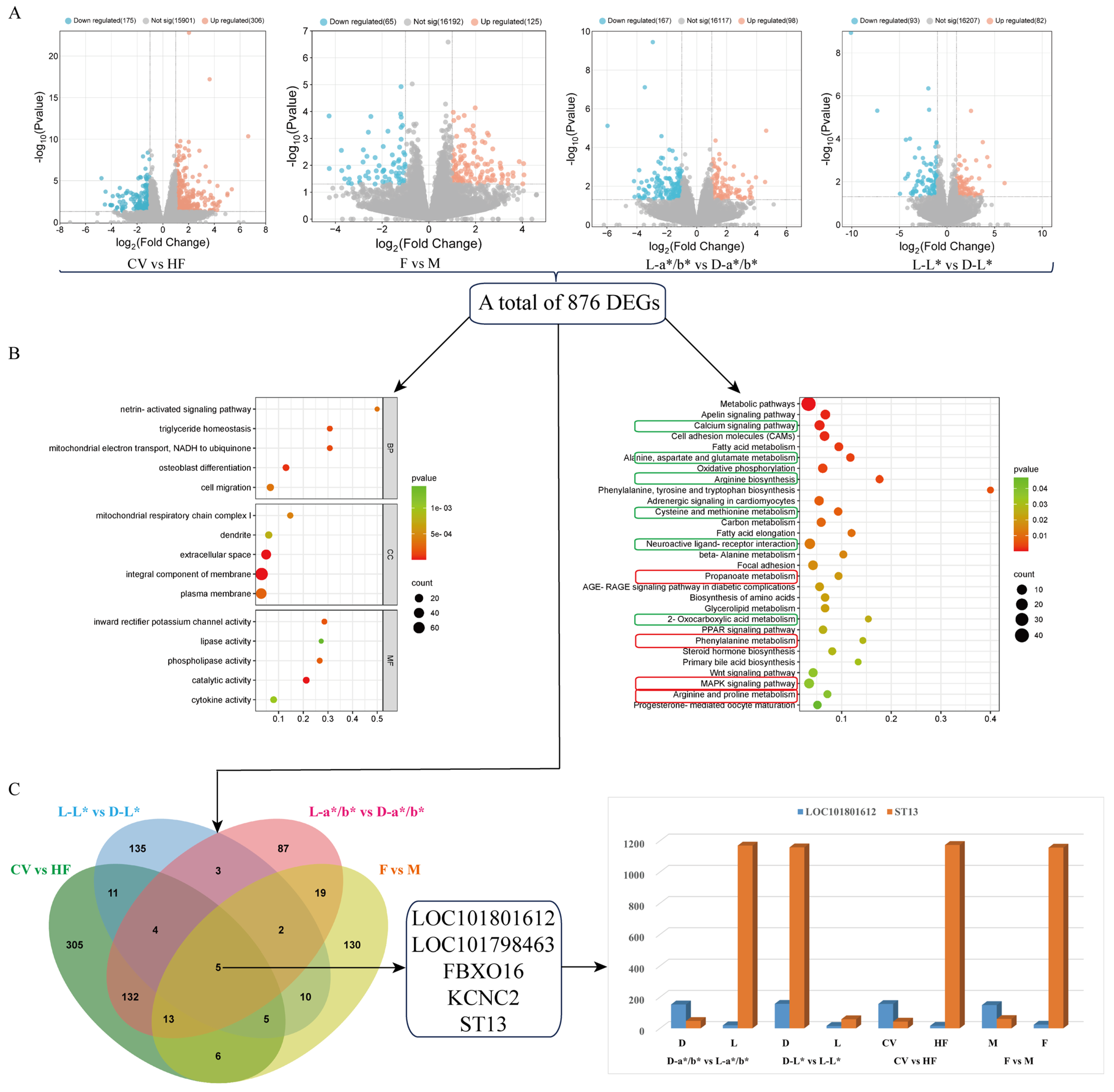 Agriculture 15 01059 g003