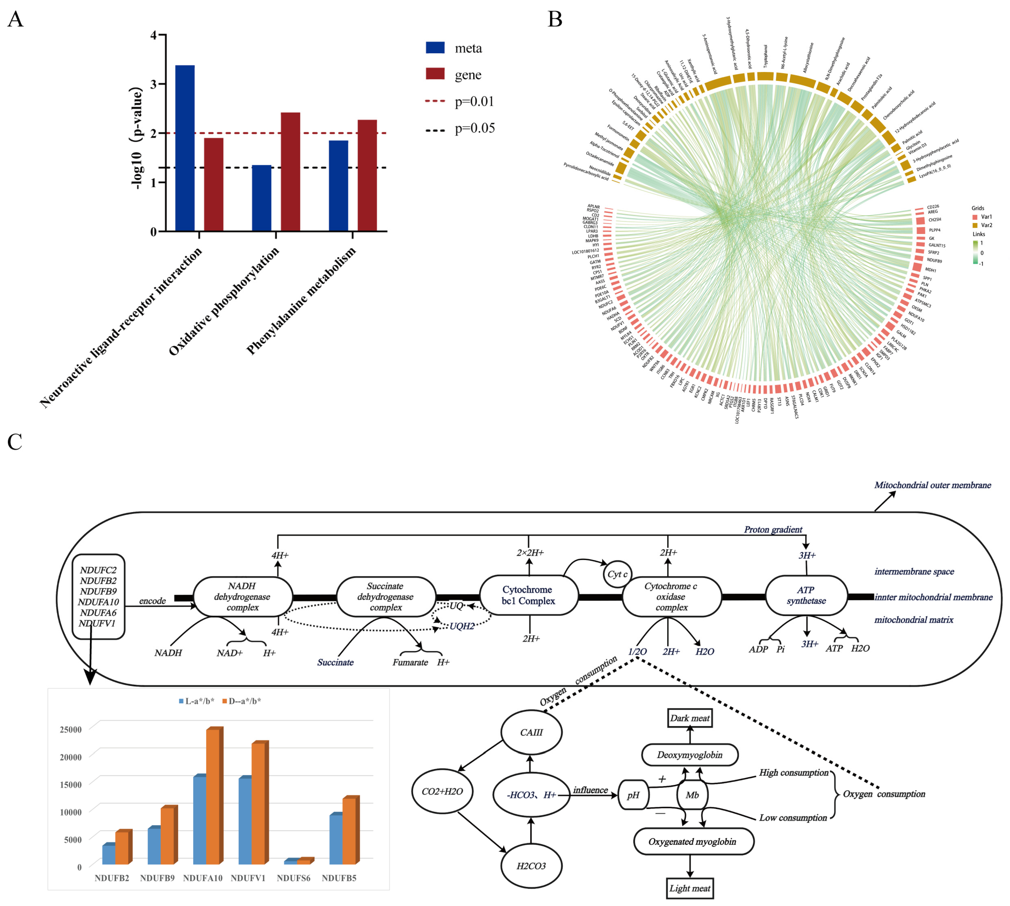 Agriculture 15 01059 g005