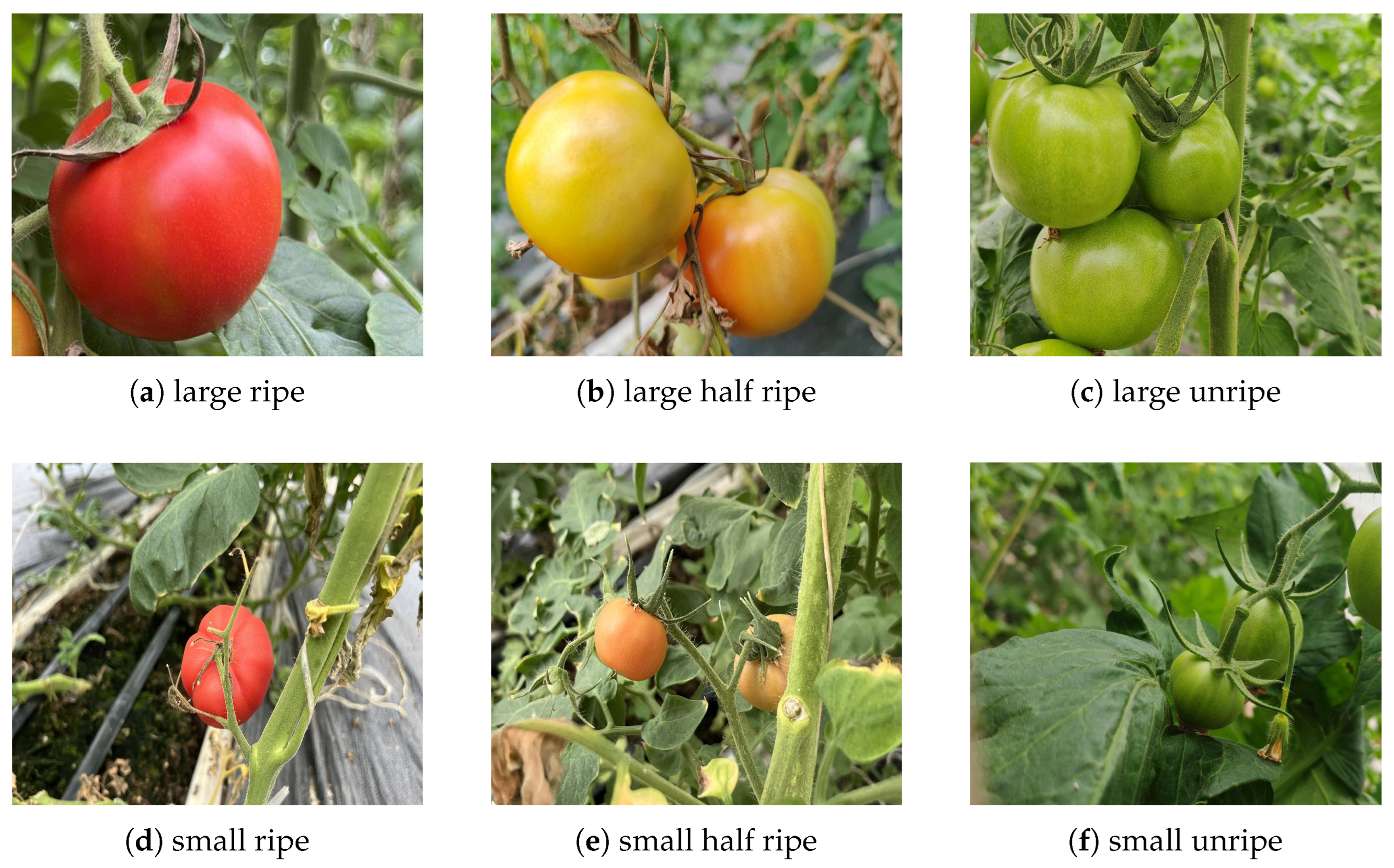 Agriculture 15 01060 g001