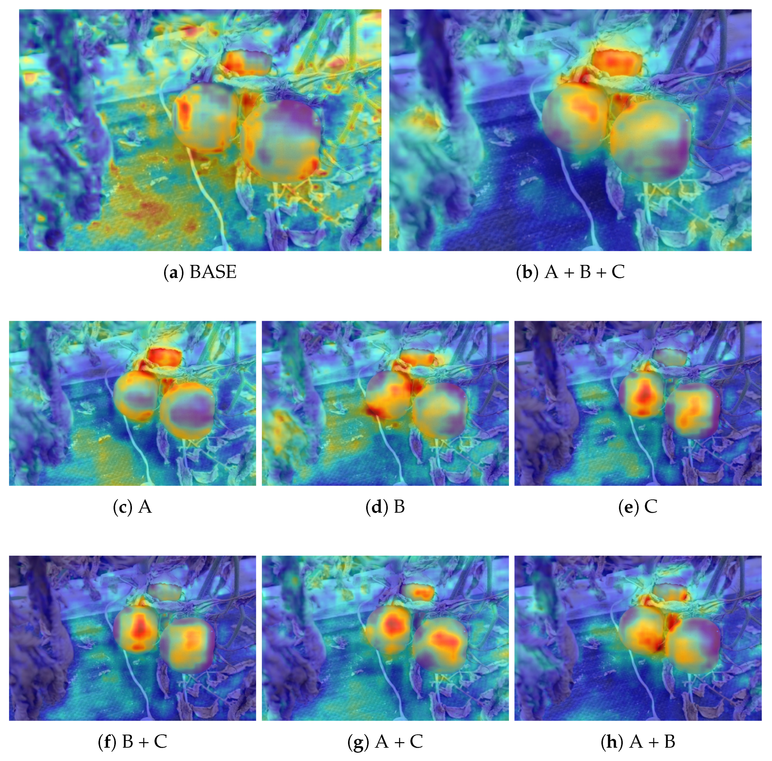 Agriculture 15 01060 g010