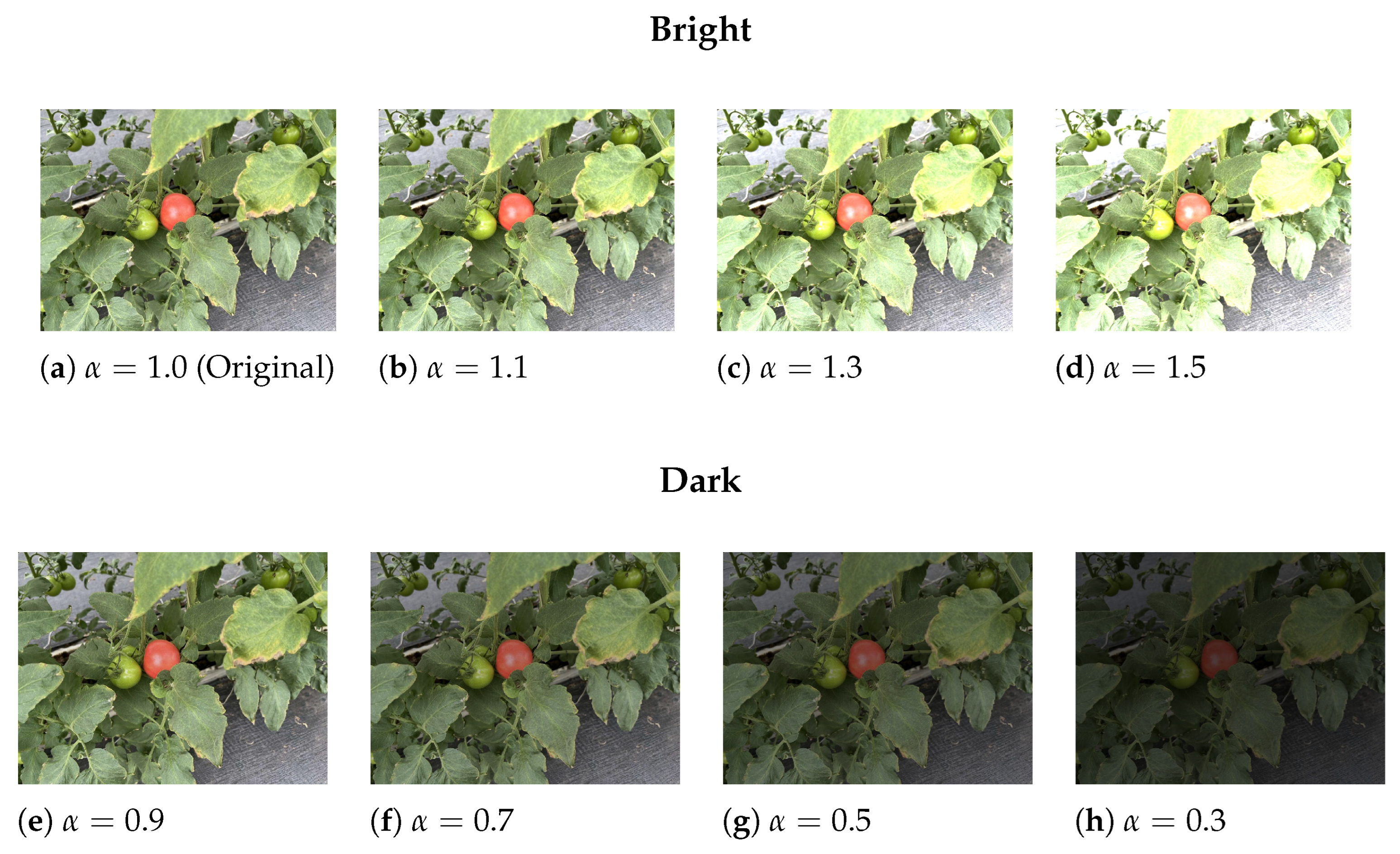 Agriculture 15 01060 g013