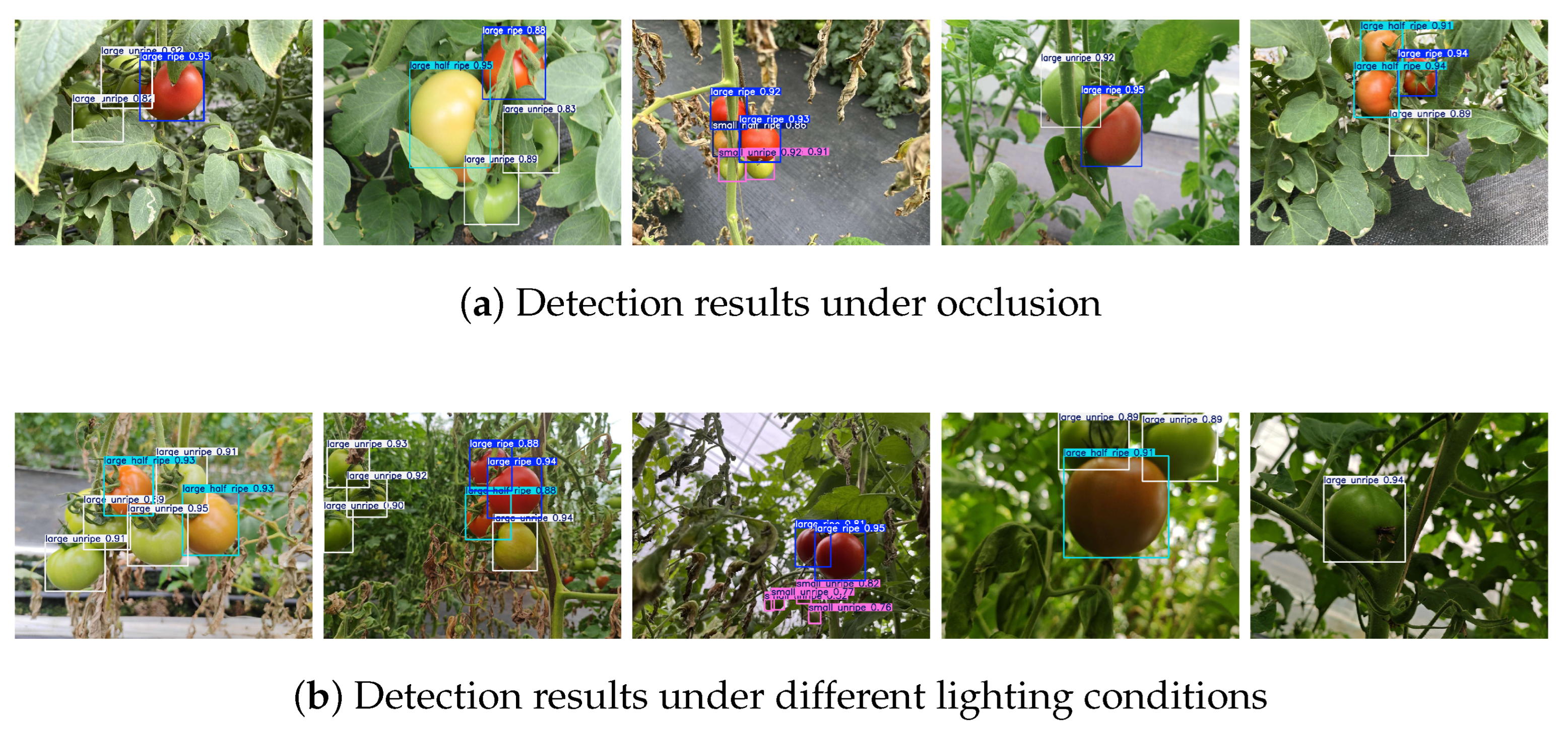 Agriculture 15 01060 g016