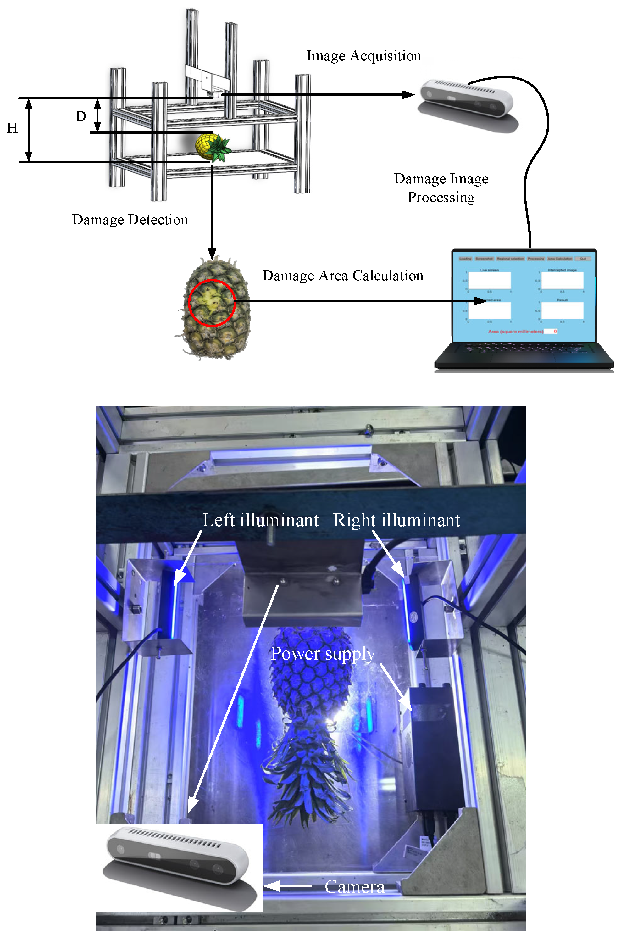 Agriculture 15 01063 g001