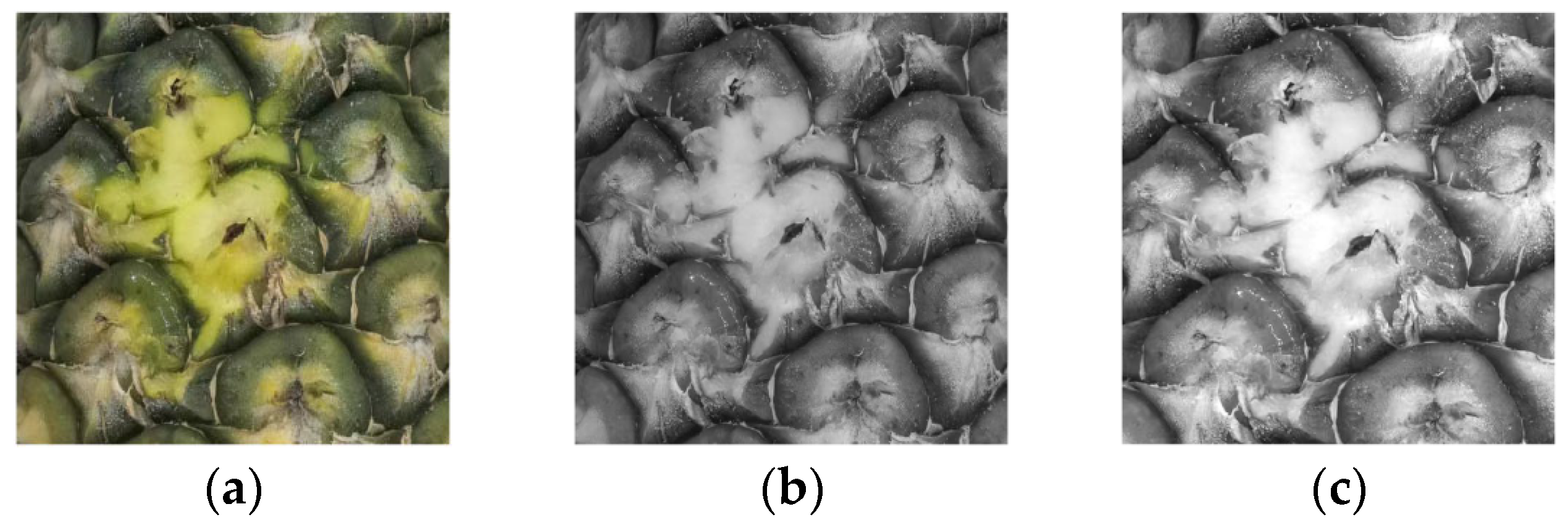 Agriculture 15 01063 g005