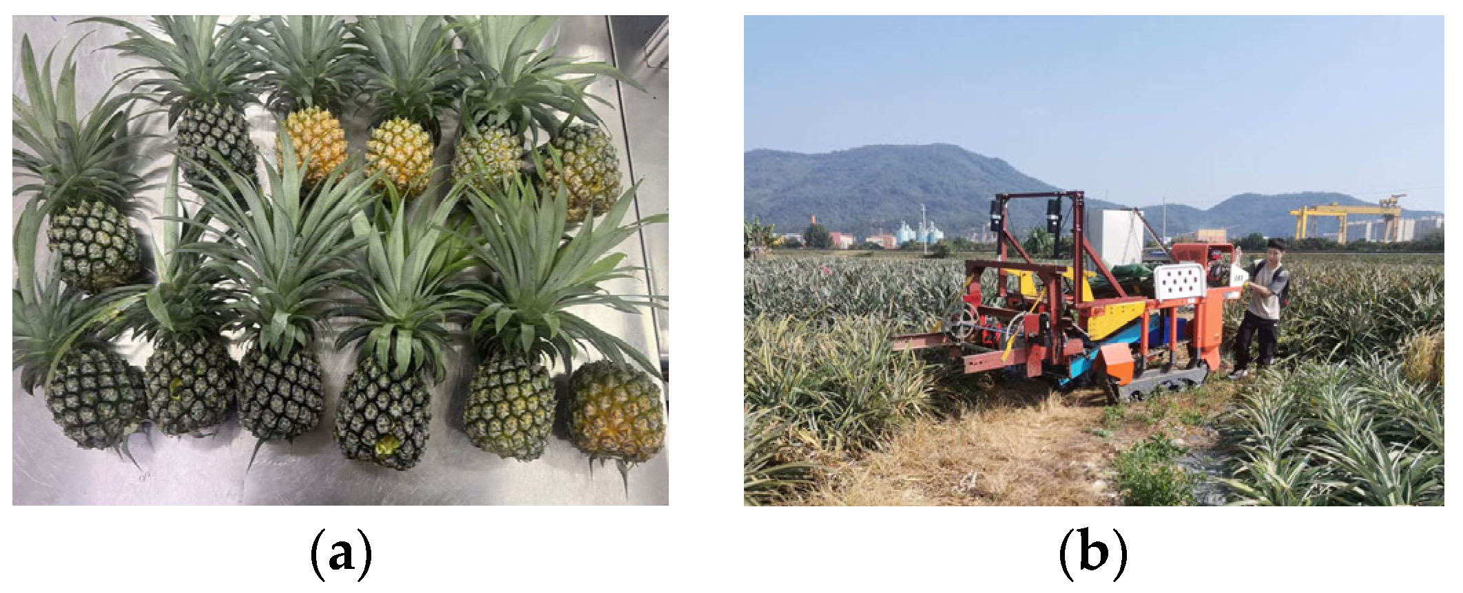 Agriculture 15 01063 g012