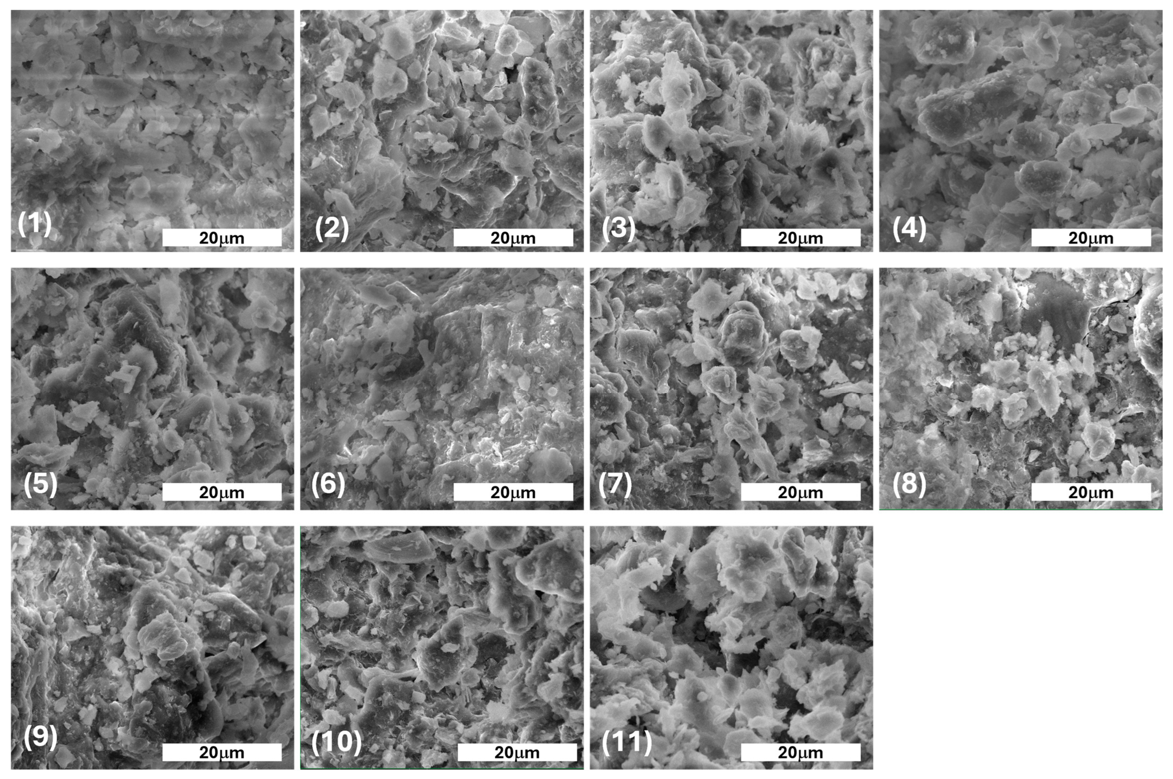 Agriculture 15 01070 g002