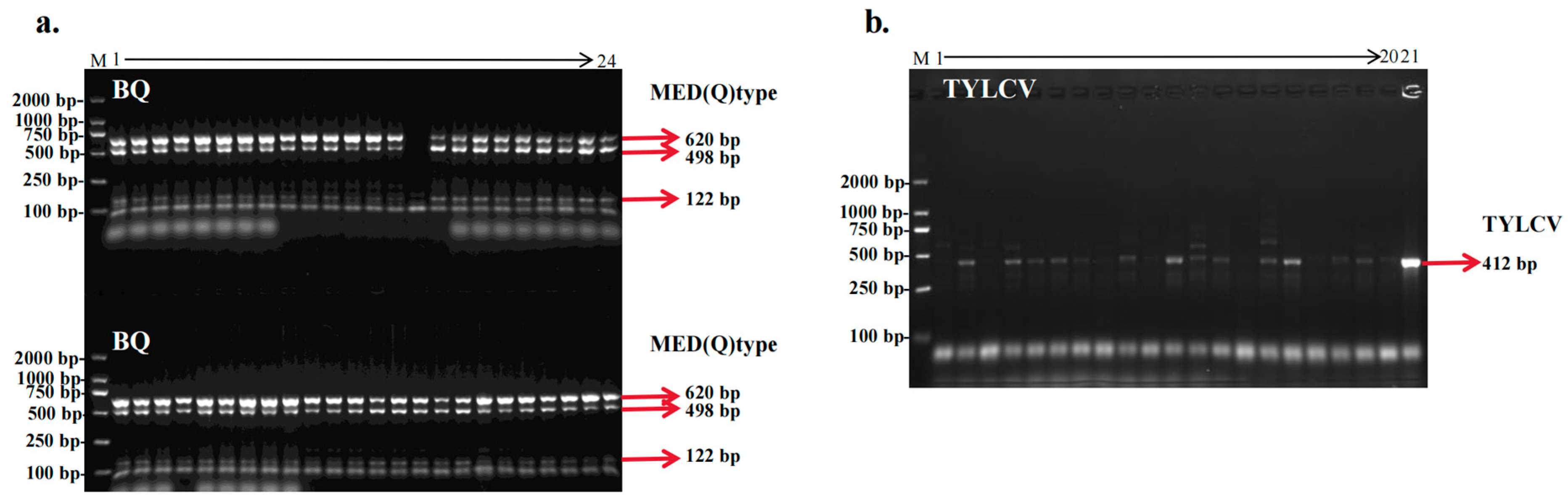 Agriculture 15 01071 g002