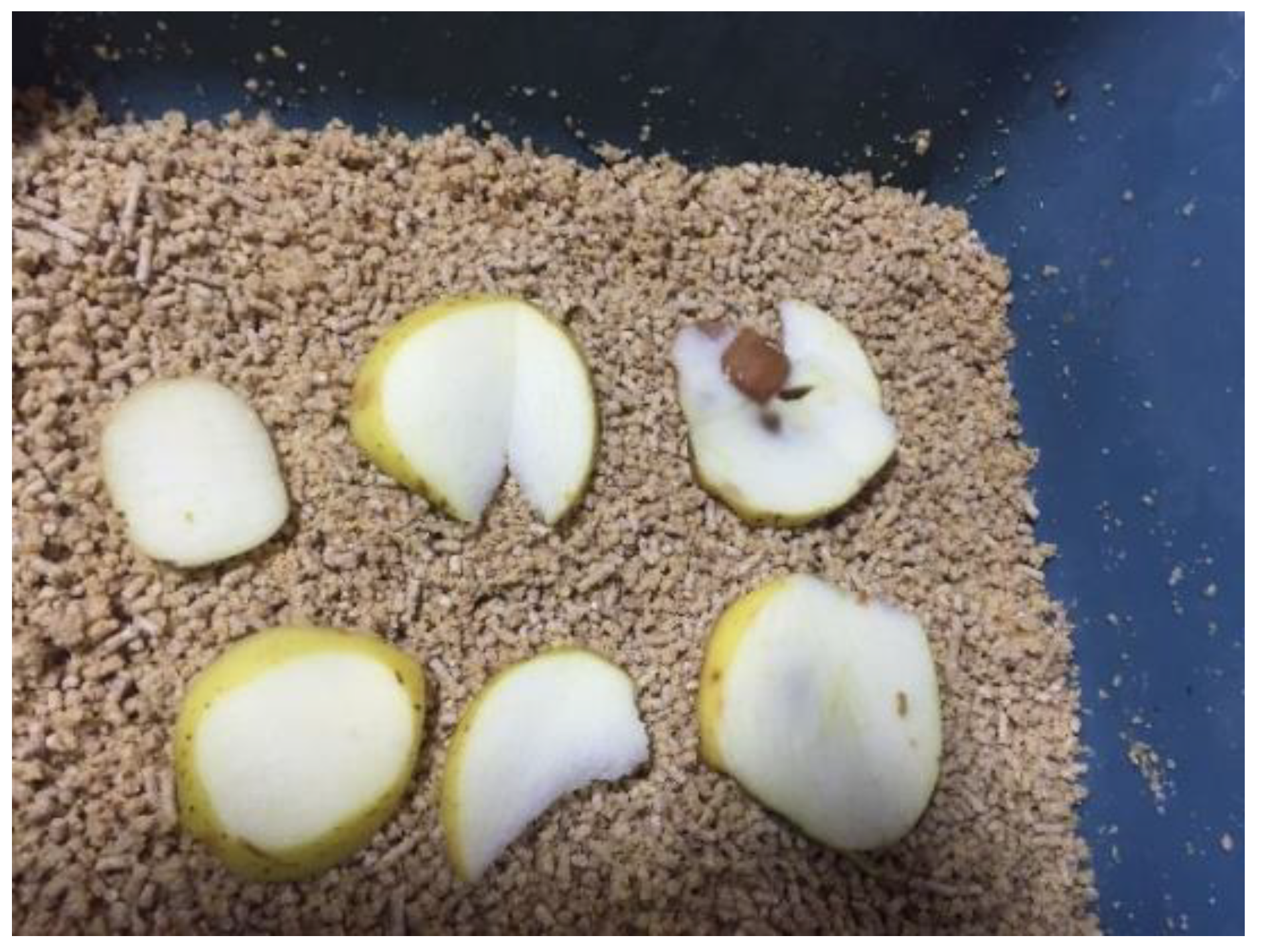 Agriculture 15 01080 g002