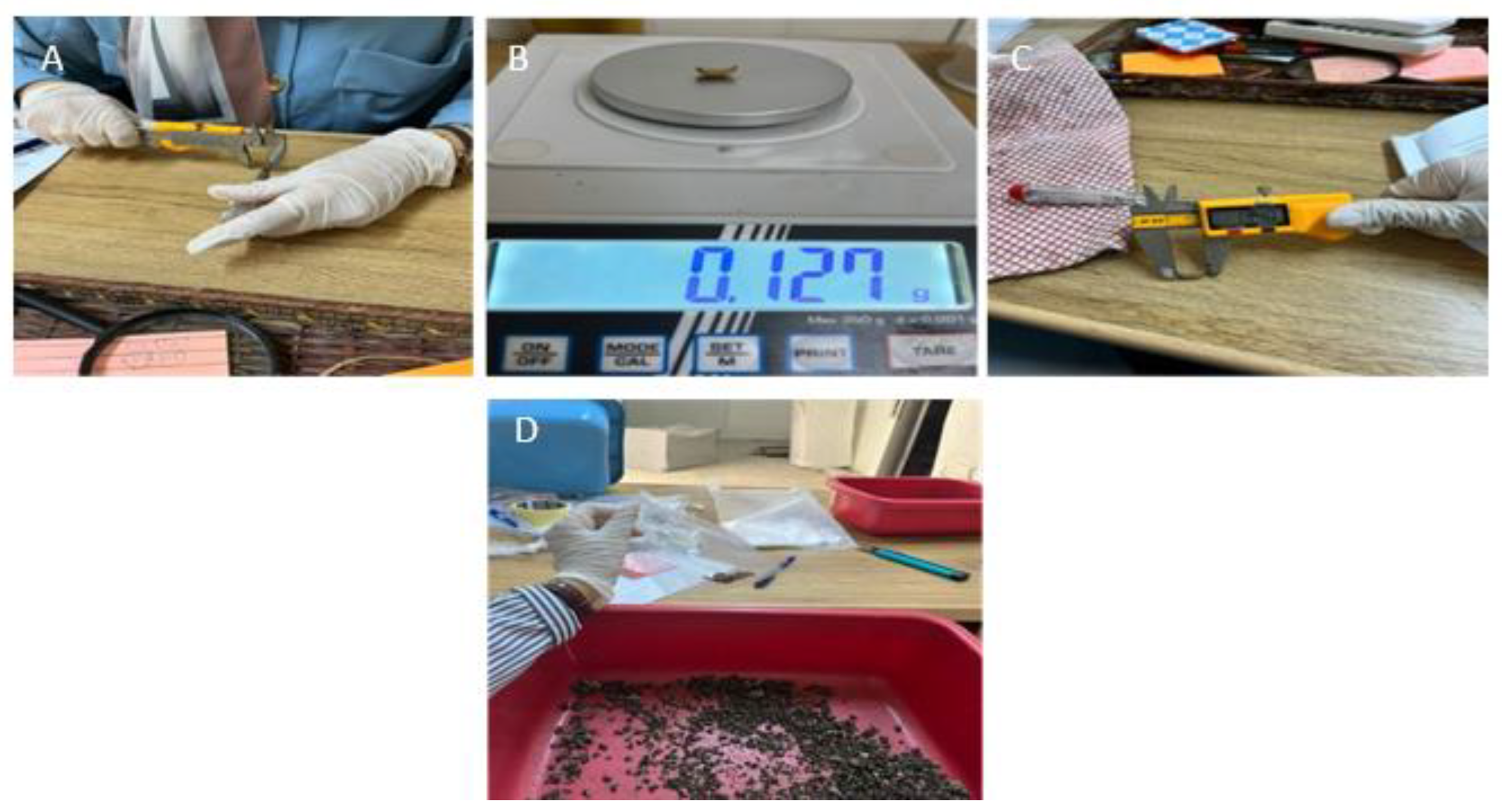 Agriculture 15 01080 g004