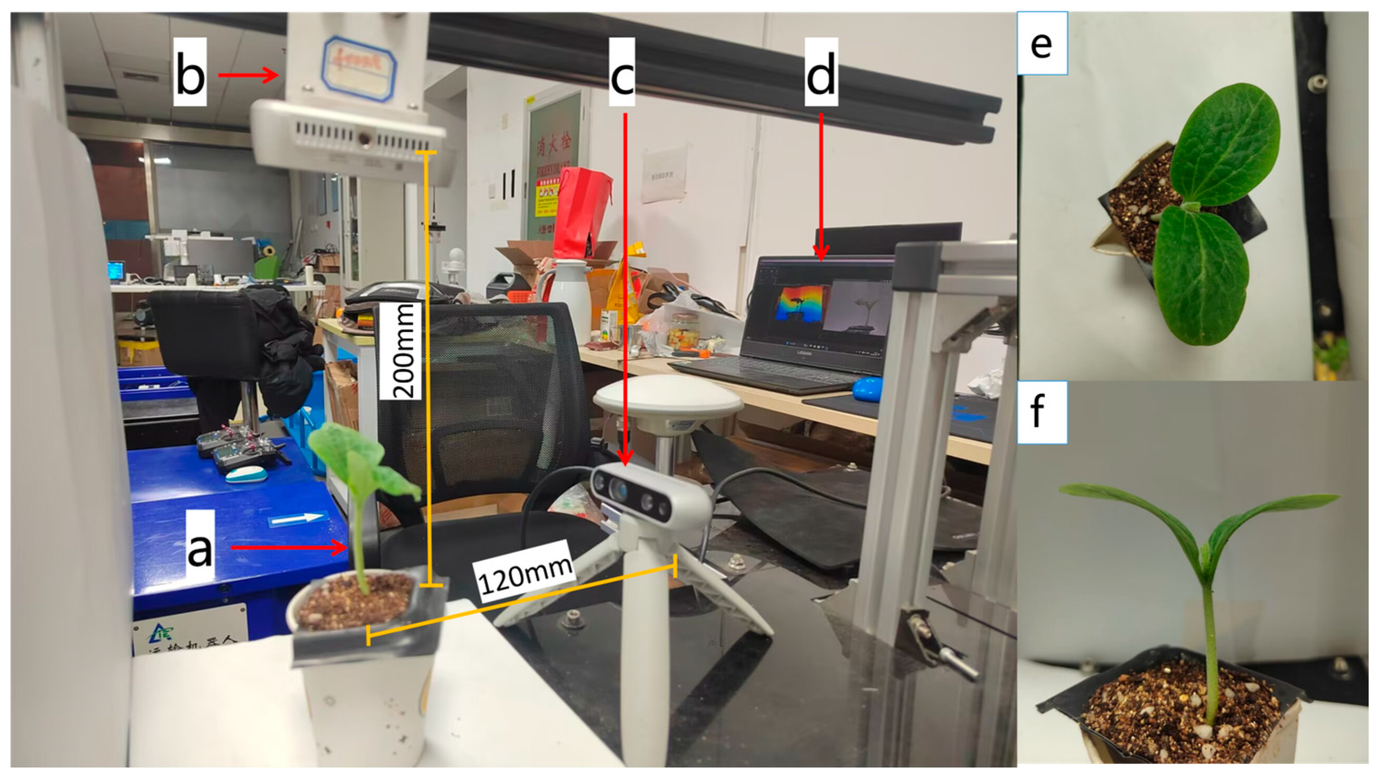 Agriculture 15 01087 g002