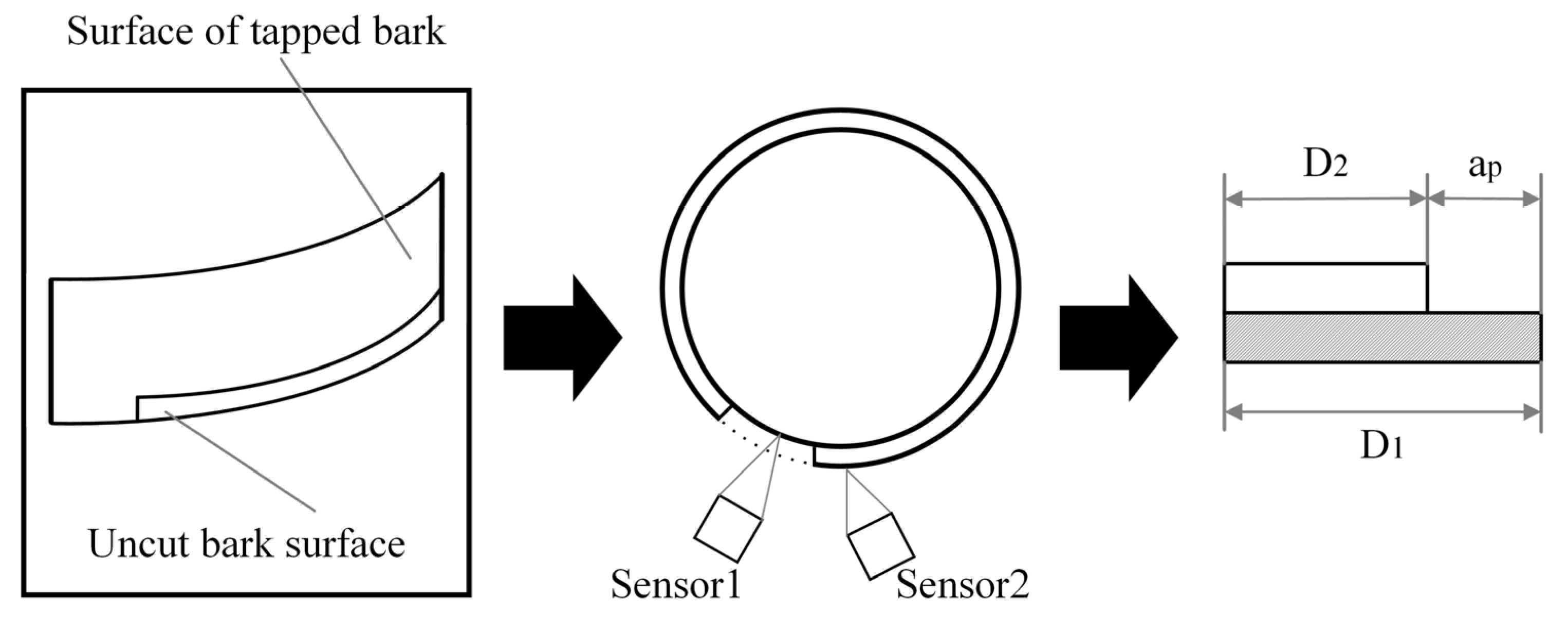 Agriculture 15 01089 g003