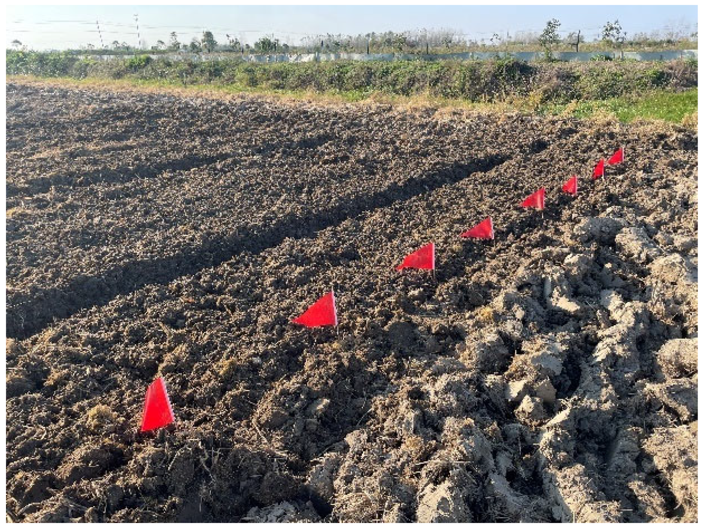 Agriculture 15 01102 g010