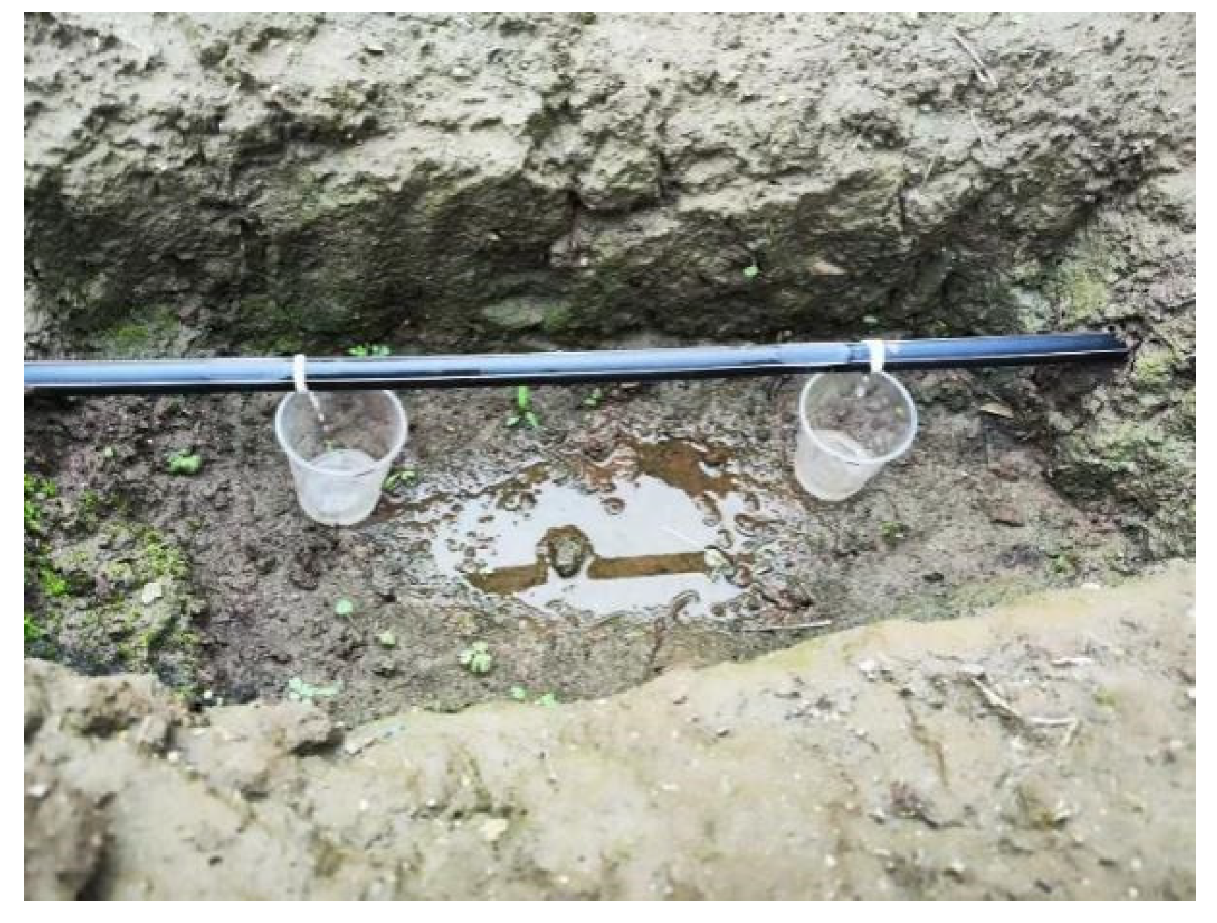 Agriculture 15 01107 g004