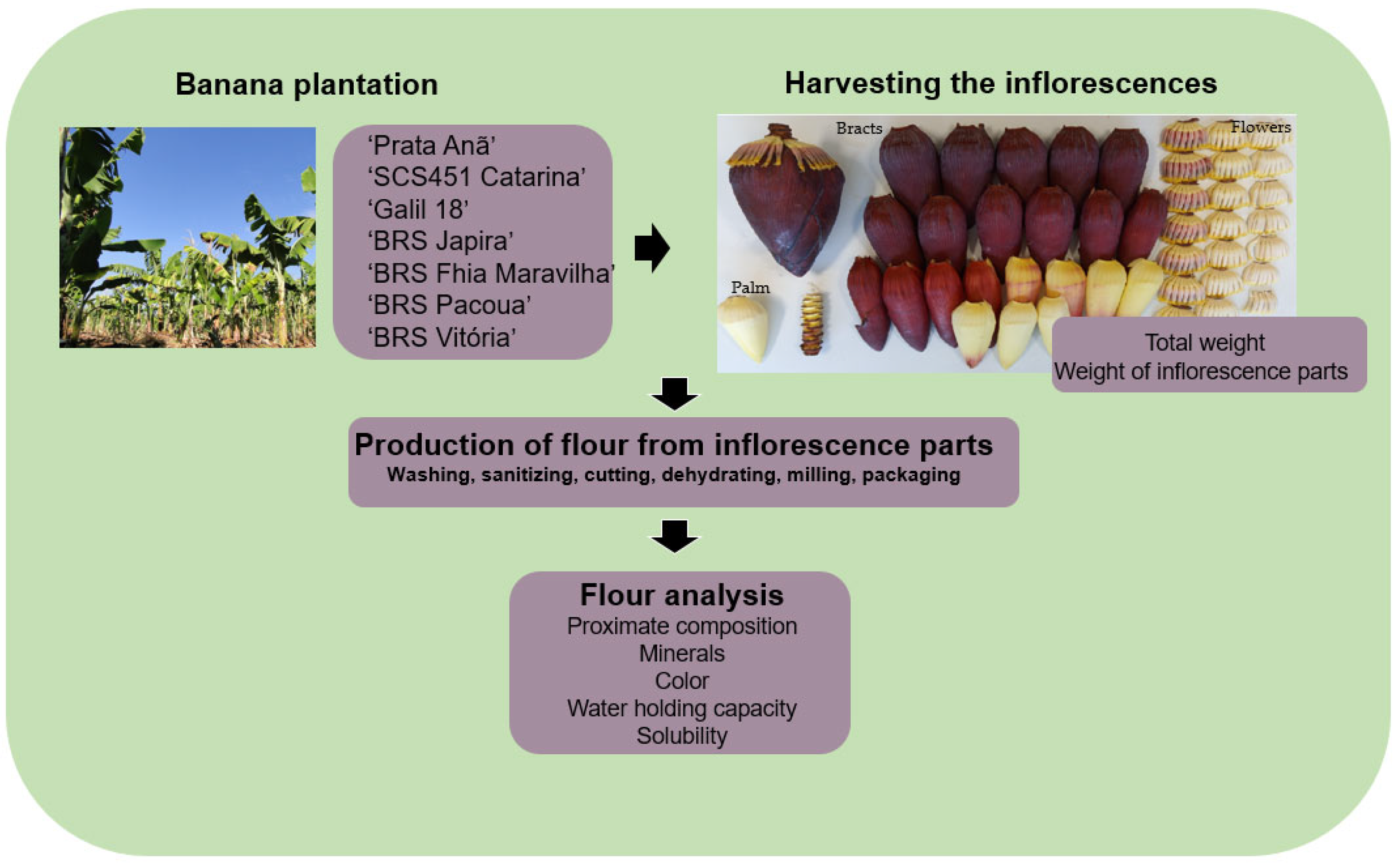 Agriculture 15 01110 g001 Agriculture 15 01110 g001