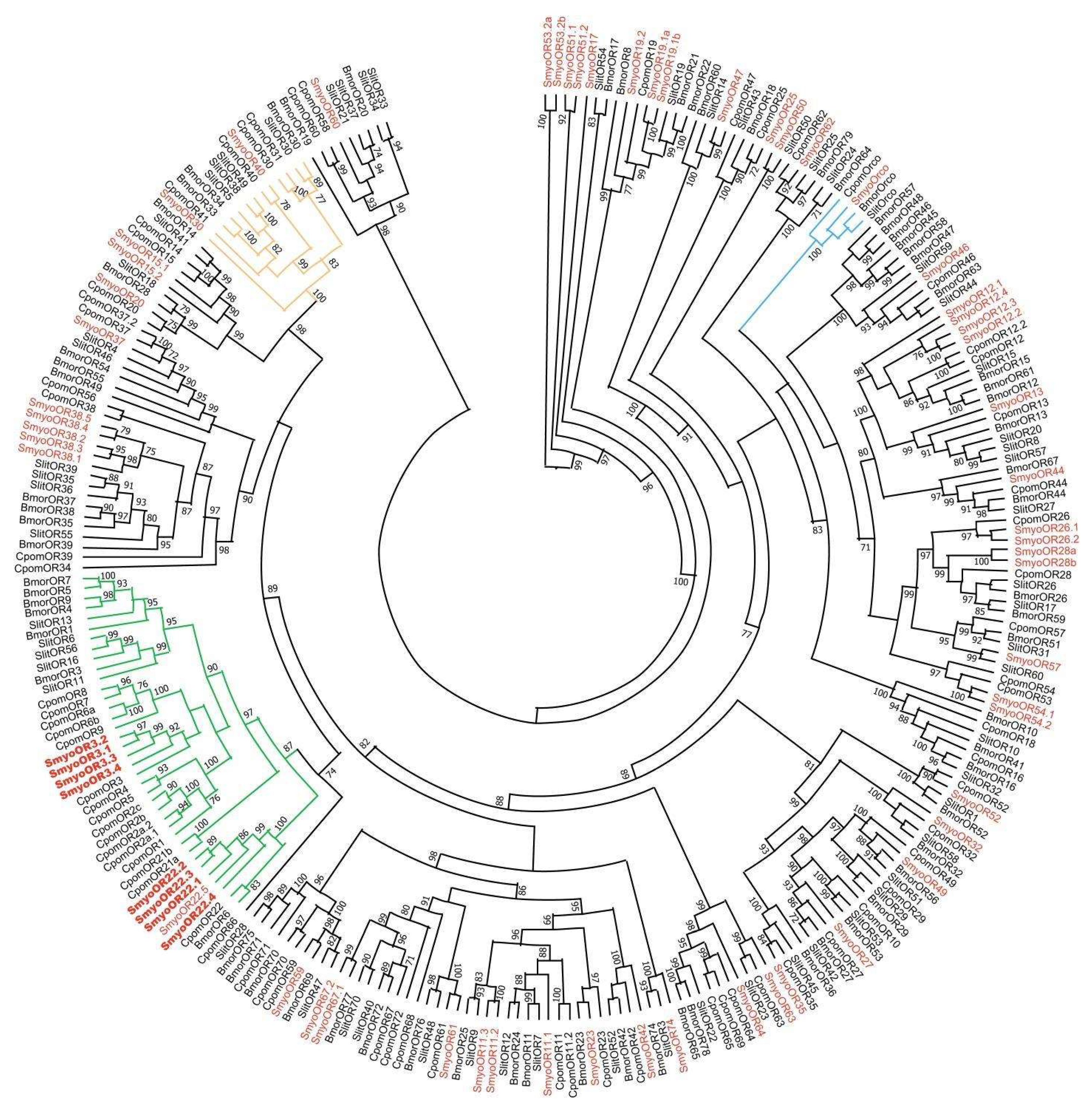 Agriculture 15 01112 g001