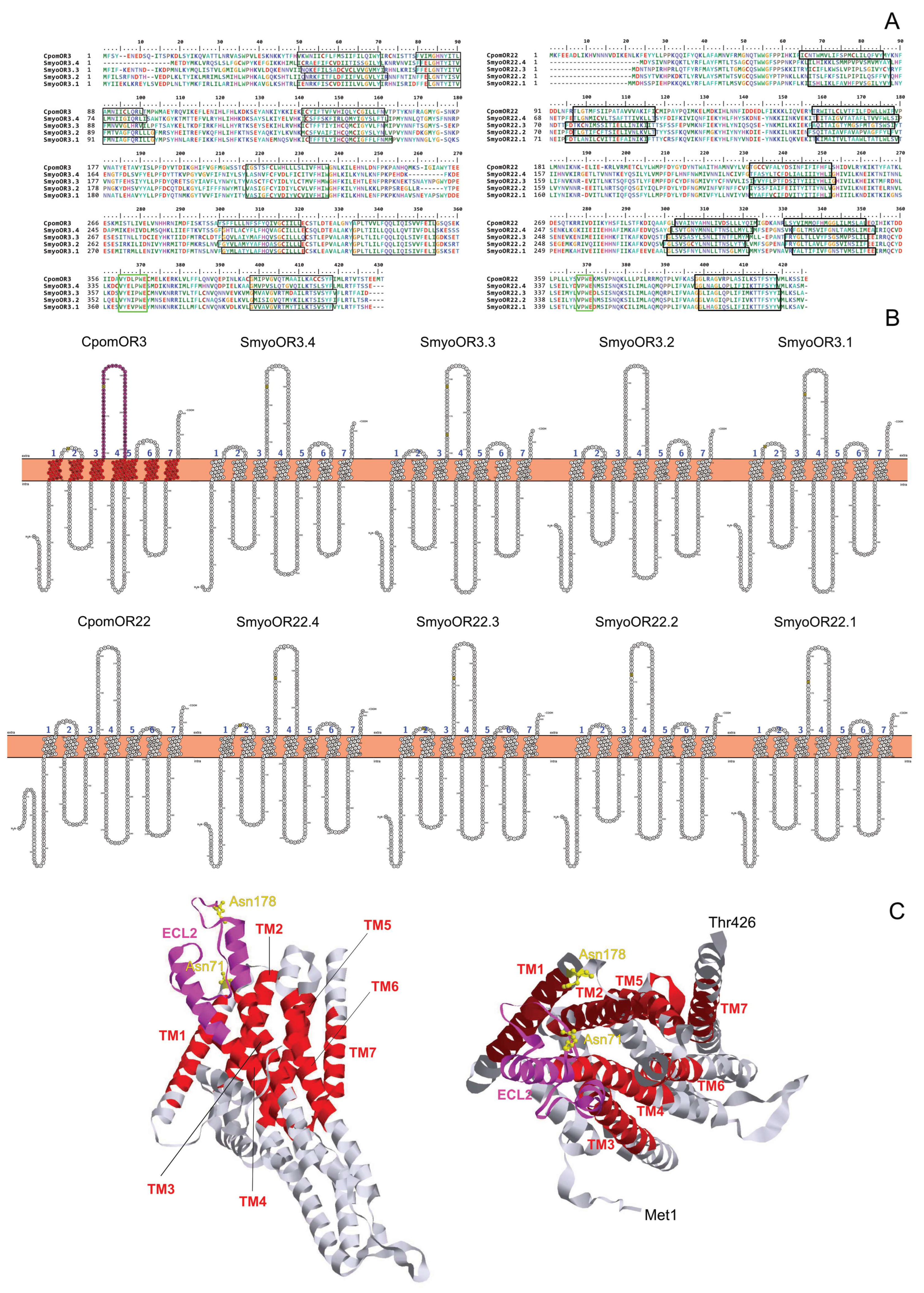 Agriculture 15 01112 g006