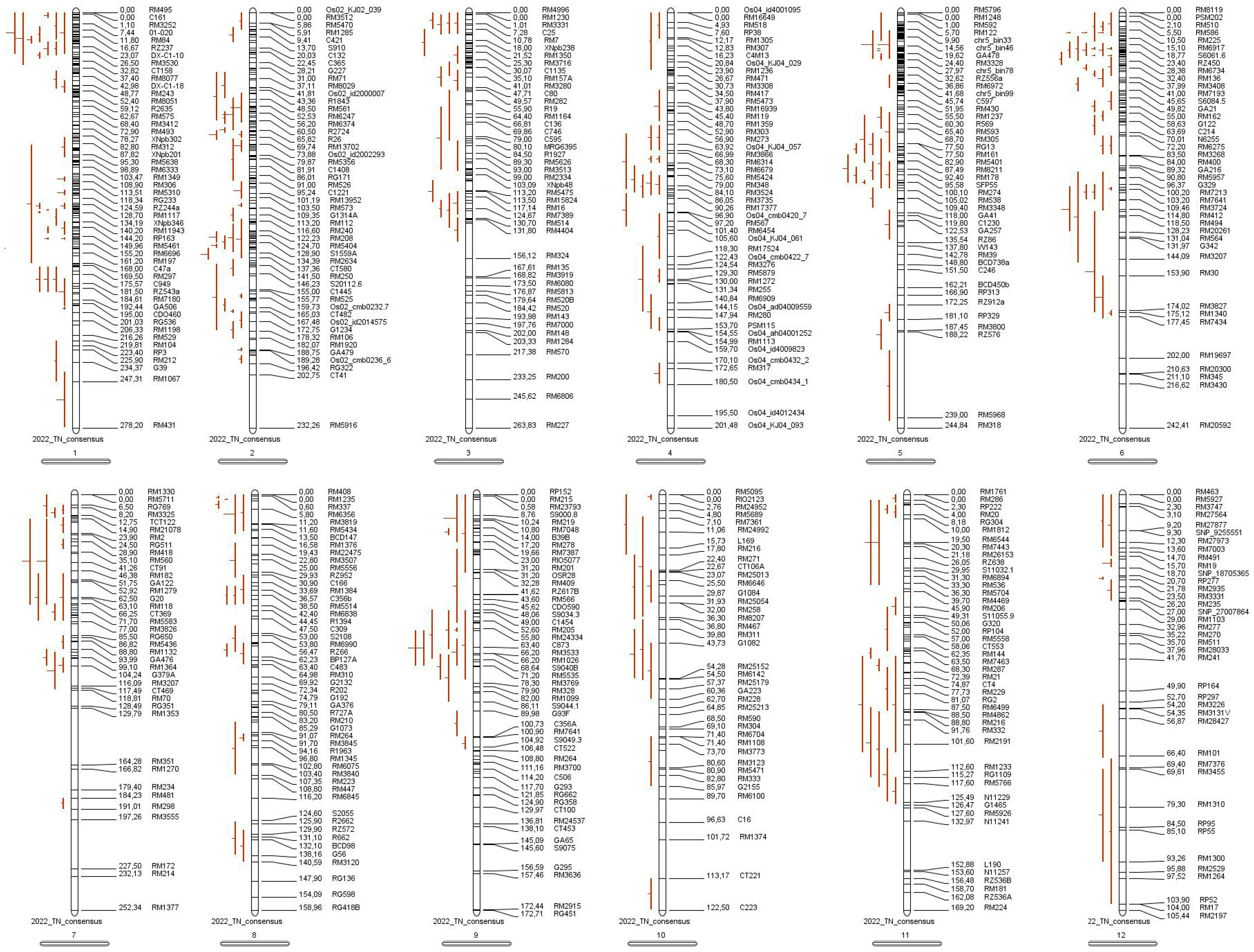 Agriculture 15 01115 g004