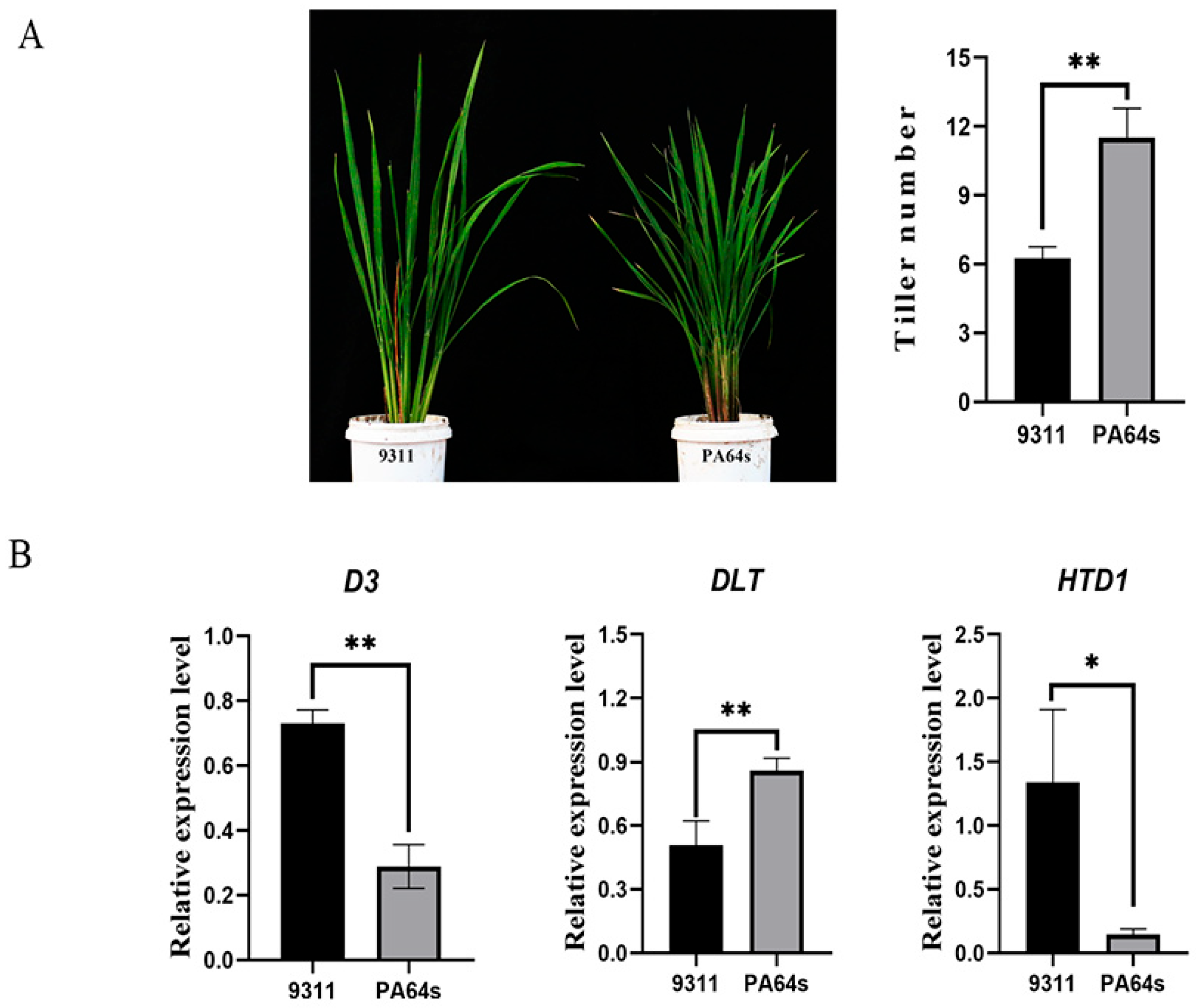 Agriculture 15 01115 g005