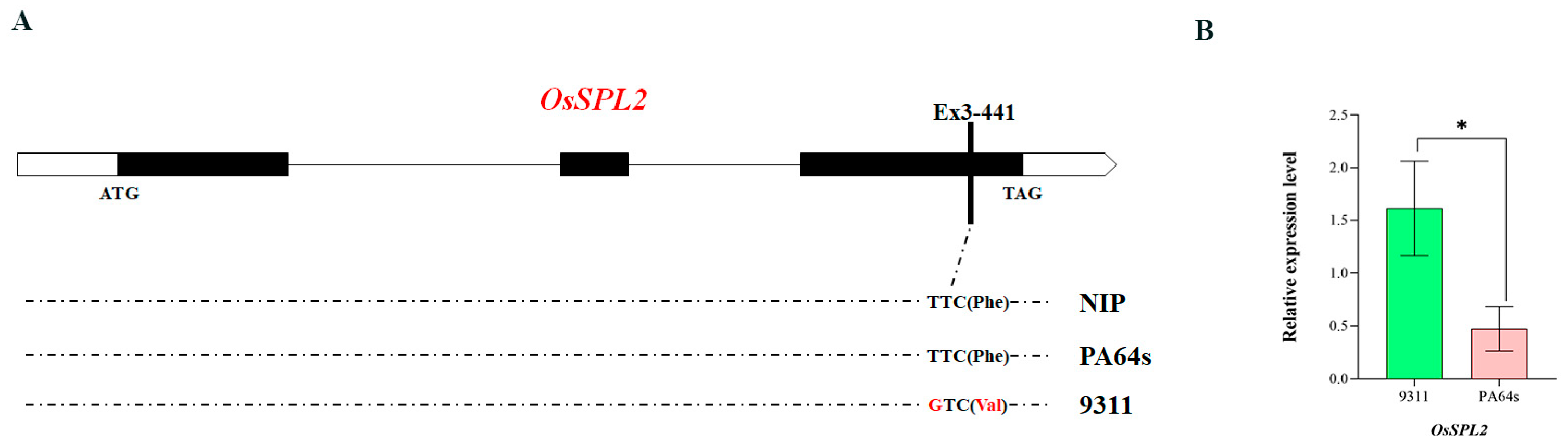 Agriculture 15 01115 g006