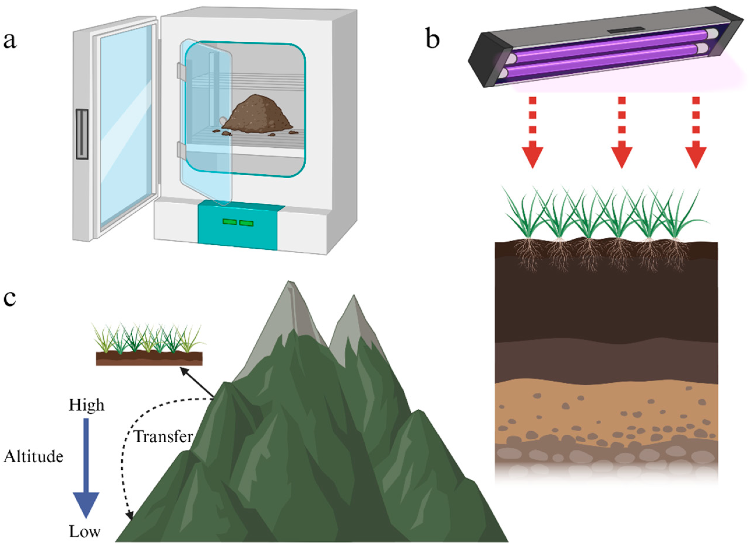 Agriculture 15 01118 g001
