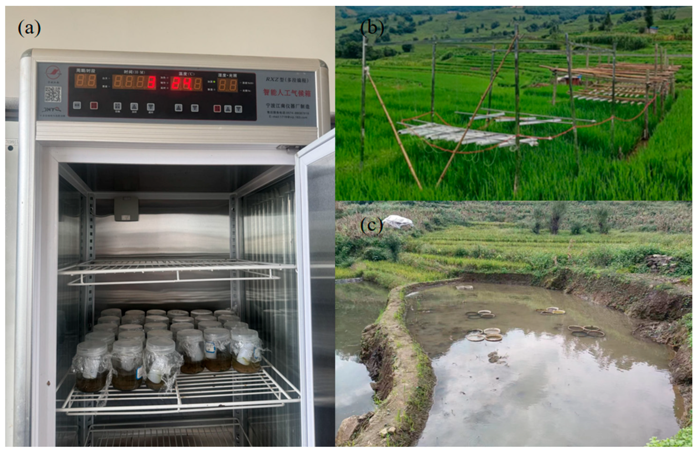 Agriculture 15 01118 g002