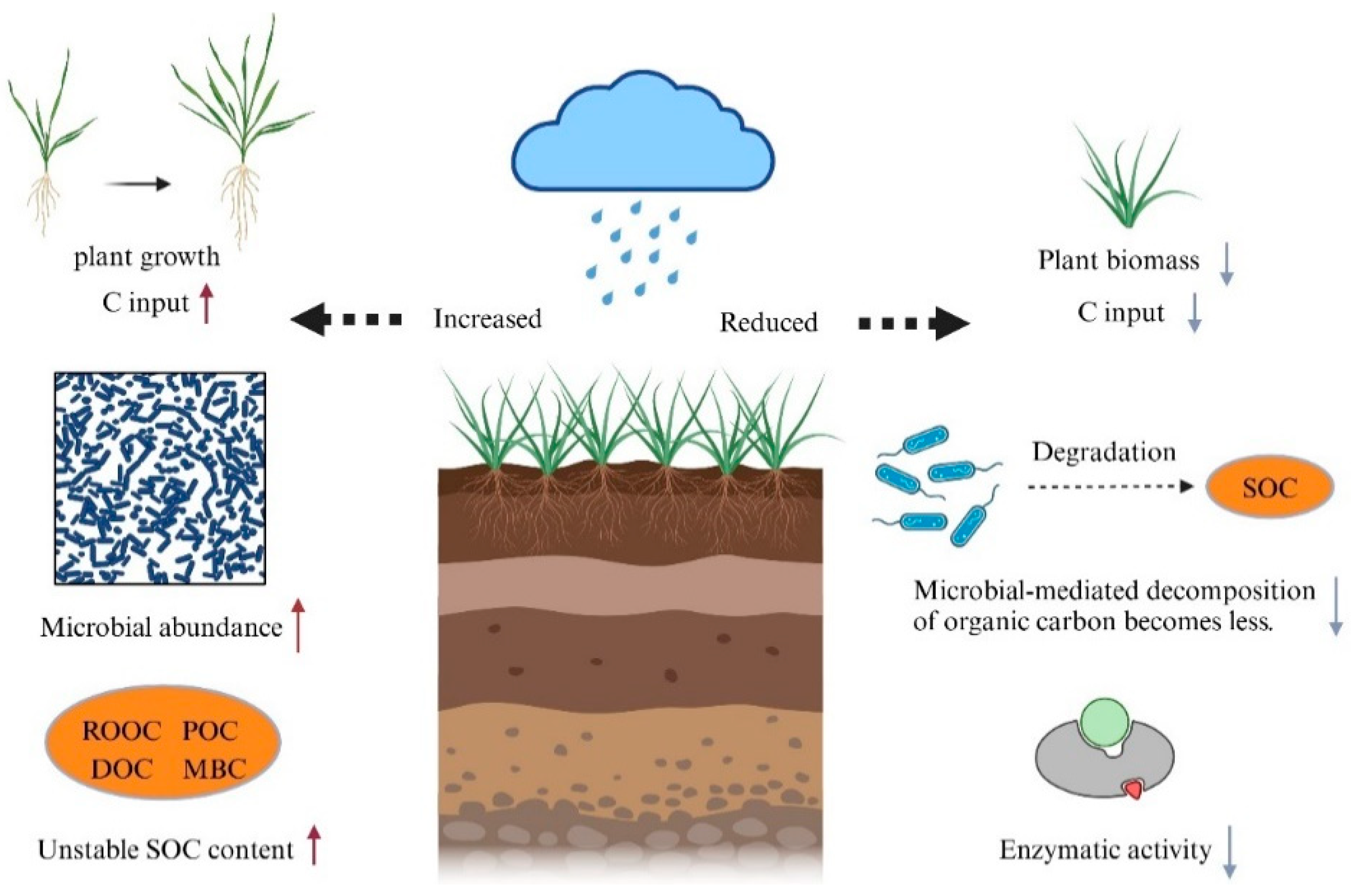 Agriculture 15 01118 g003