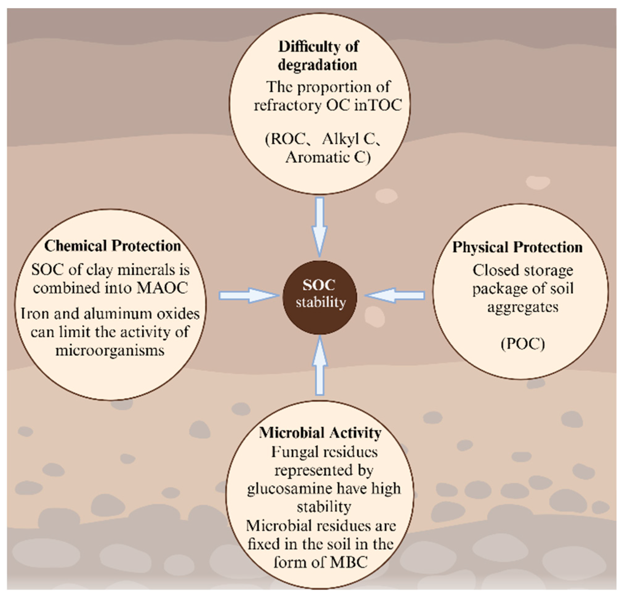 Agriculture 15 01118 g005