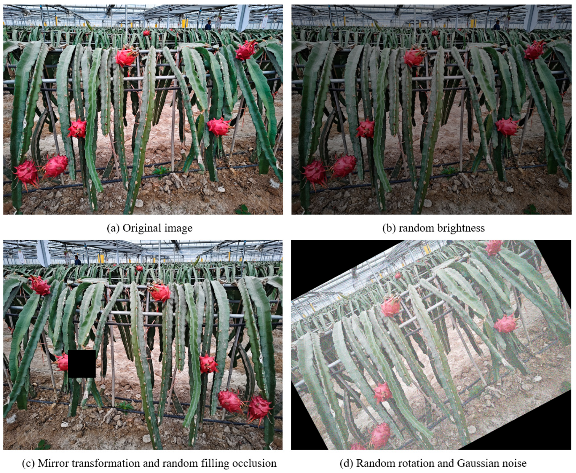 Agriculture 15 01120 g002