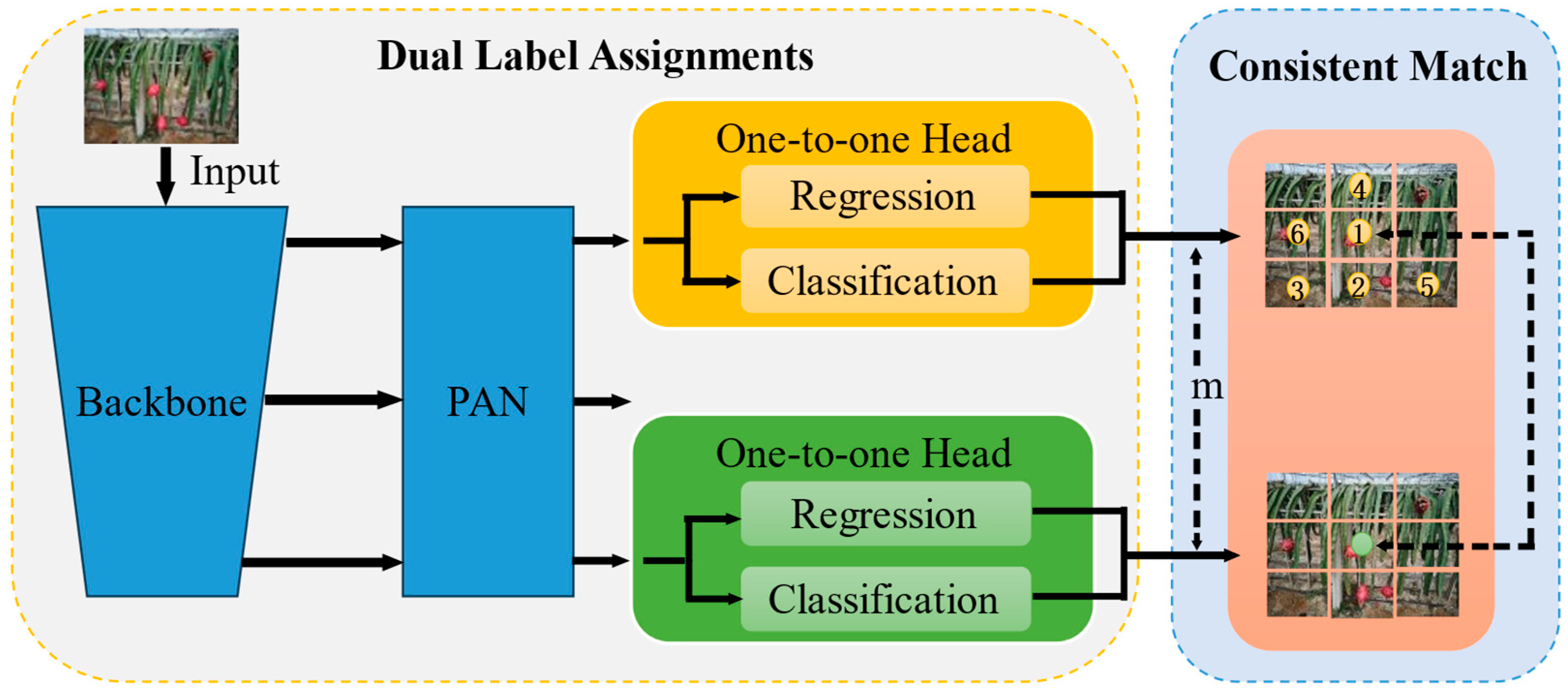 Agriculture 15 01120 g003