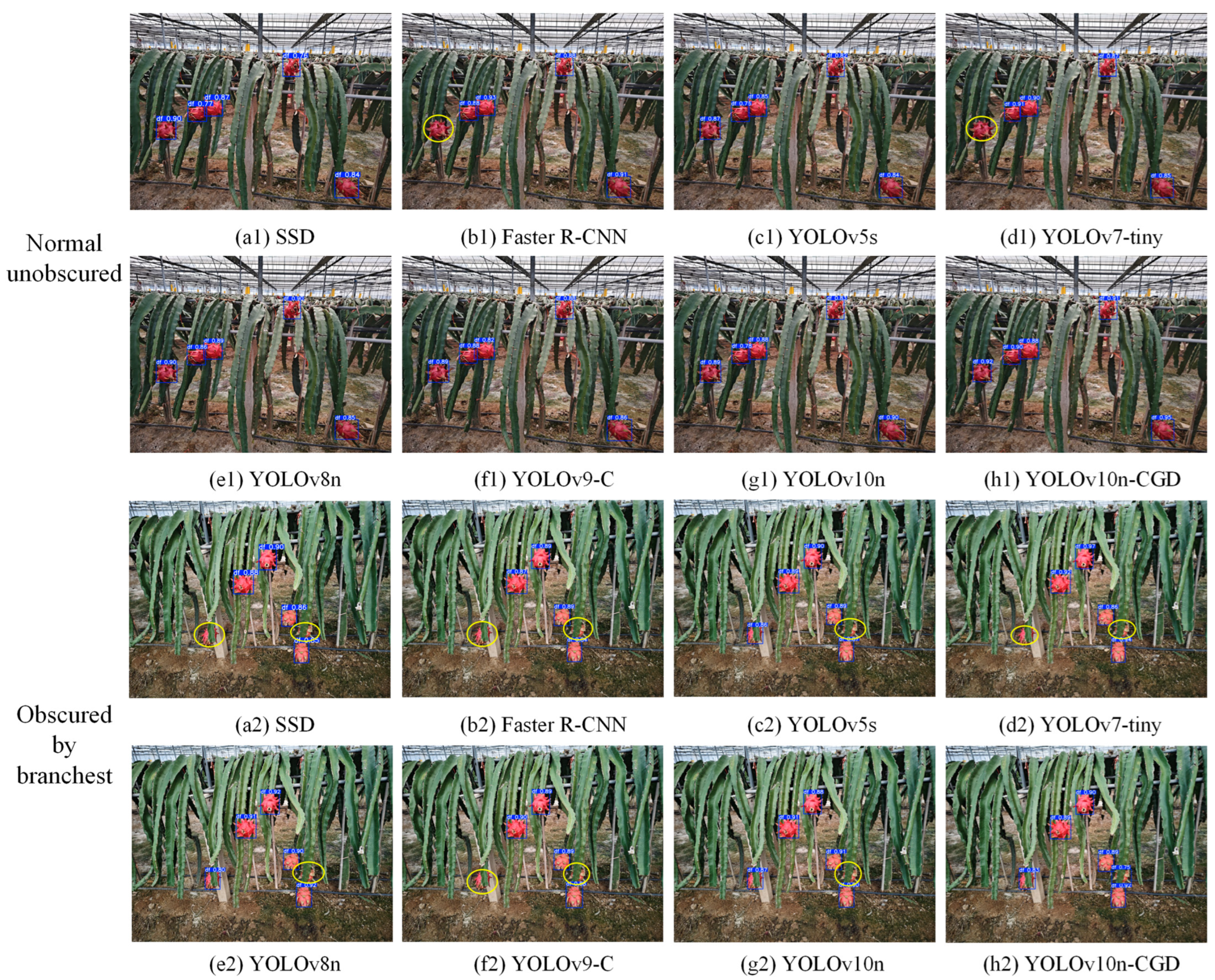 Agriculture 15 01120 g011