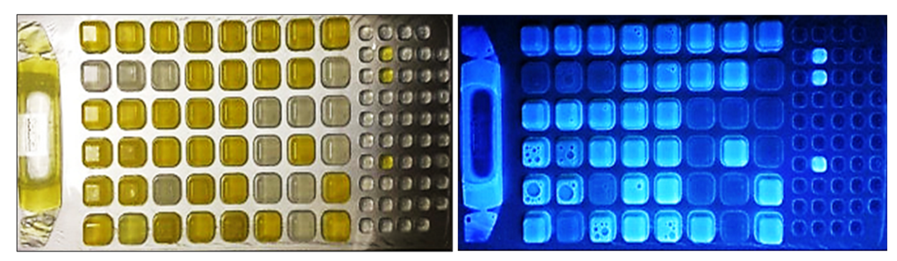 Agriculture 15 01121 g001