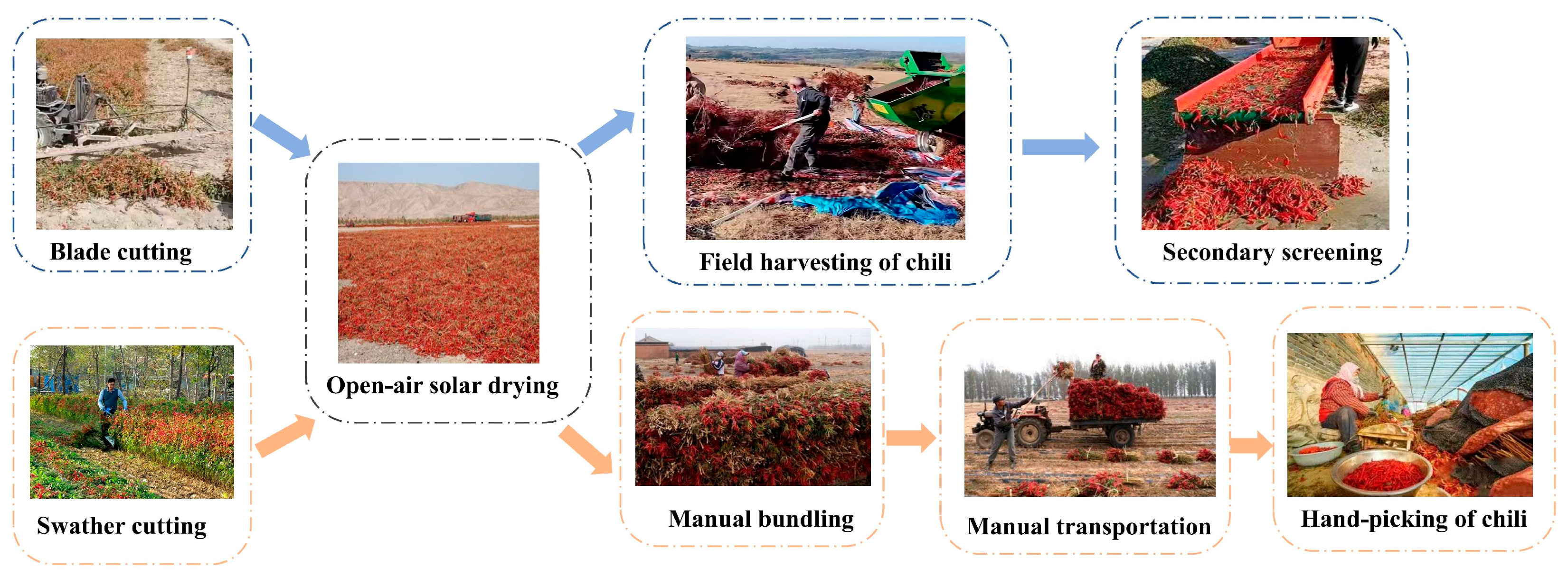 Agriculture 15 01129 g005 Agriculture 15 01129 g005