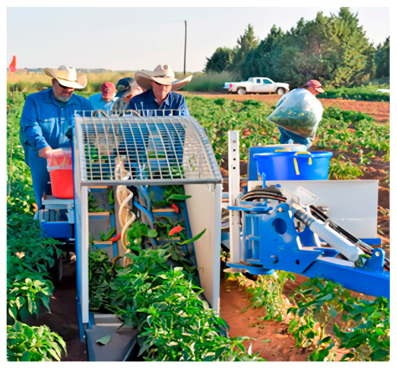 Agriculture 15 01129 g007 Agriculture 15 01129 g007