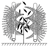 Agriculture 15 01129 i012 Agriculture 15 01129 i012