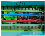 Agriculture 15 01129 i013 Agriculture 15 01129 i013