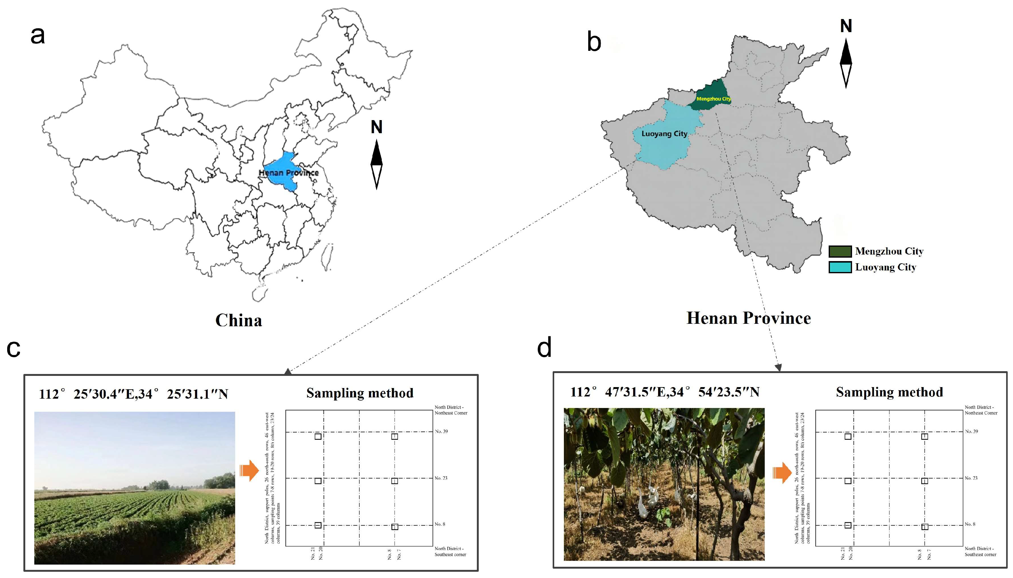 Agriculture 15 01131 g001