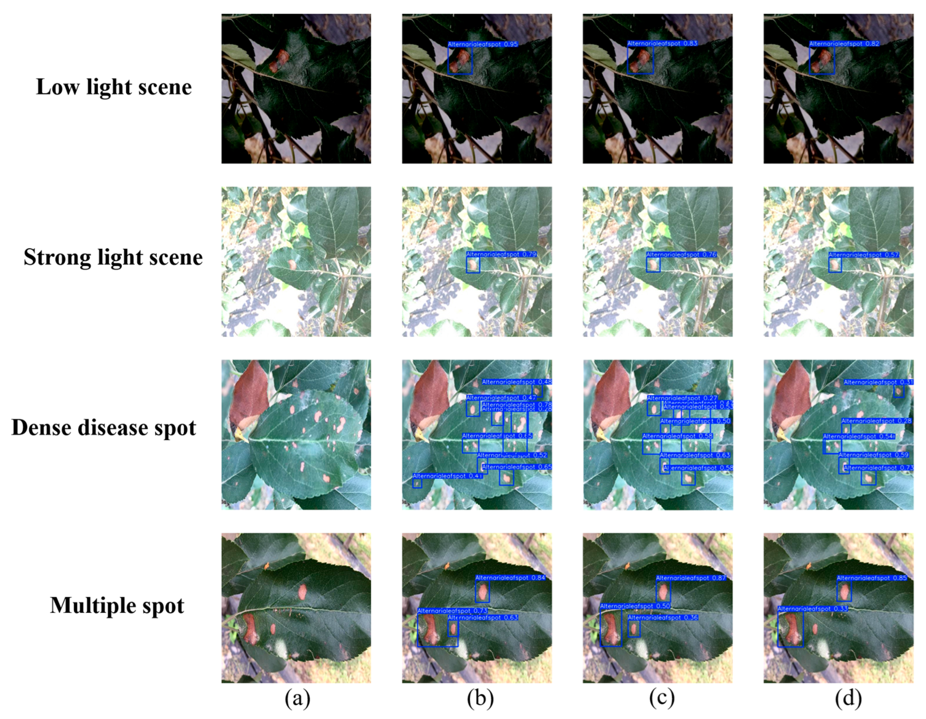 Agriculture 15 01138 g016