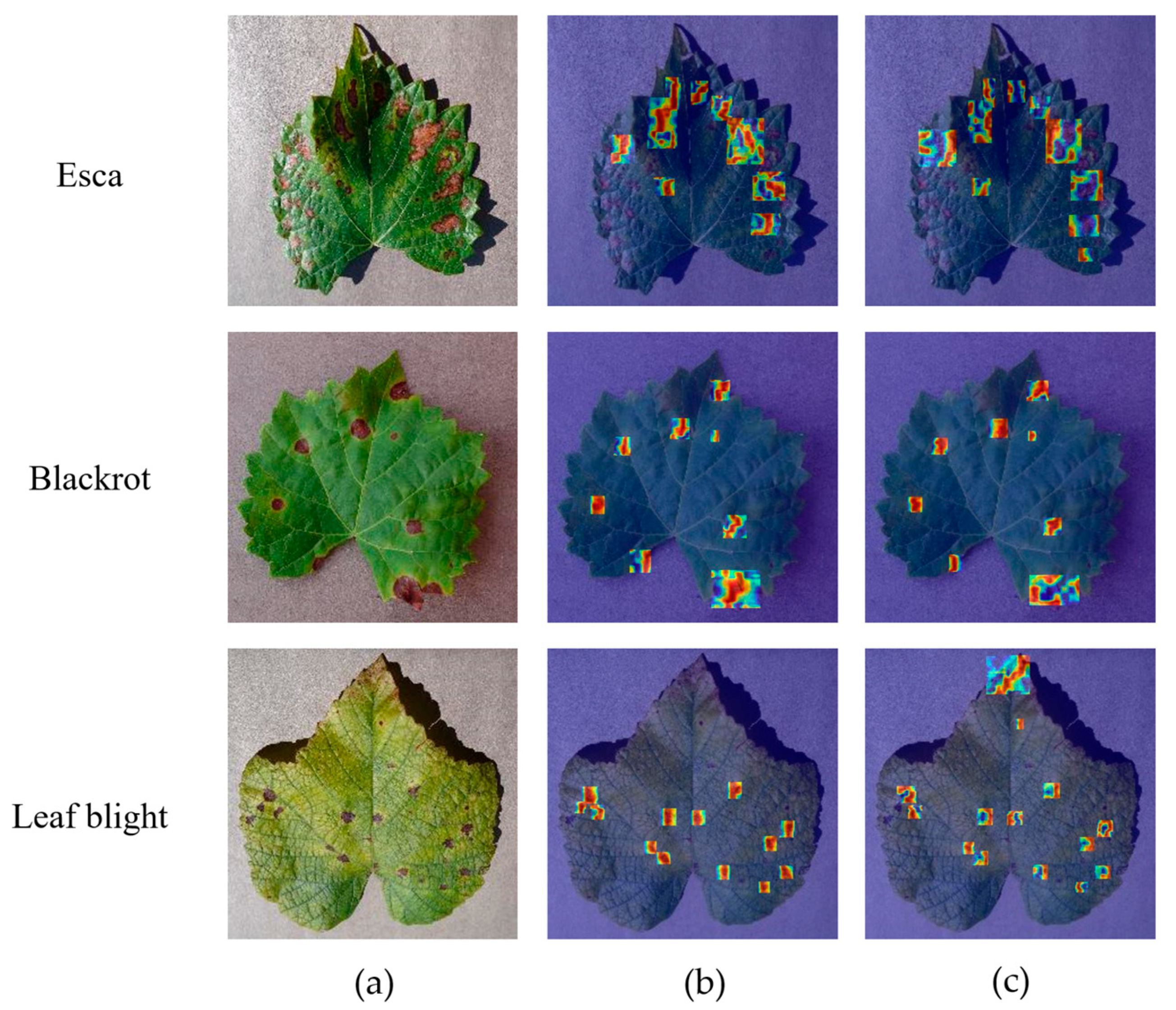 Agriculture 15 01138 g018