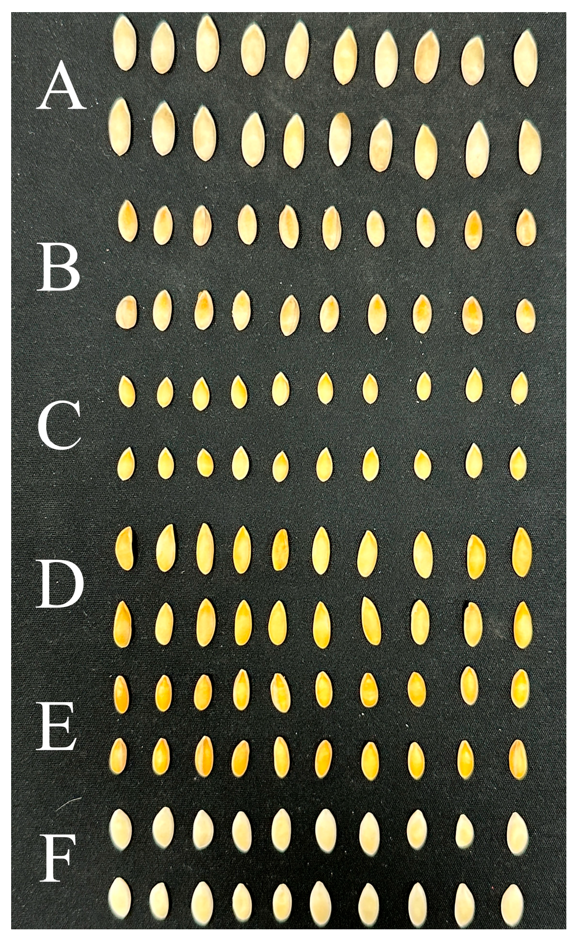 Agriculture 15 01139 g001