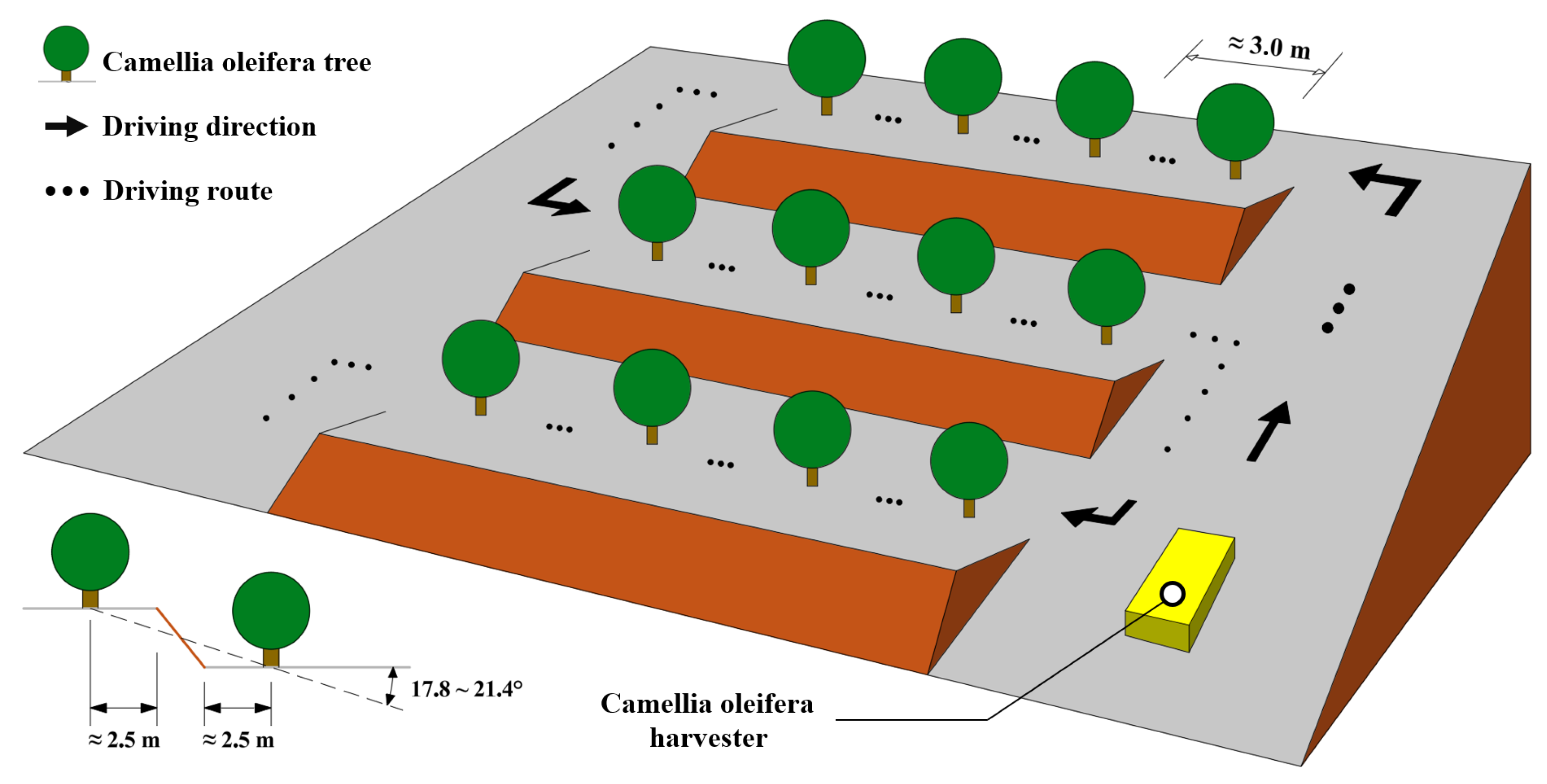 Agriculture 15 01141 g018