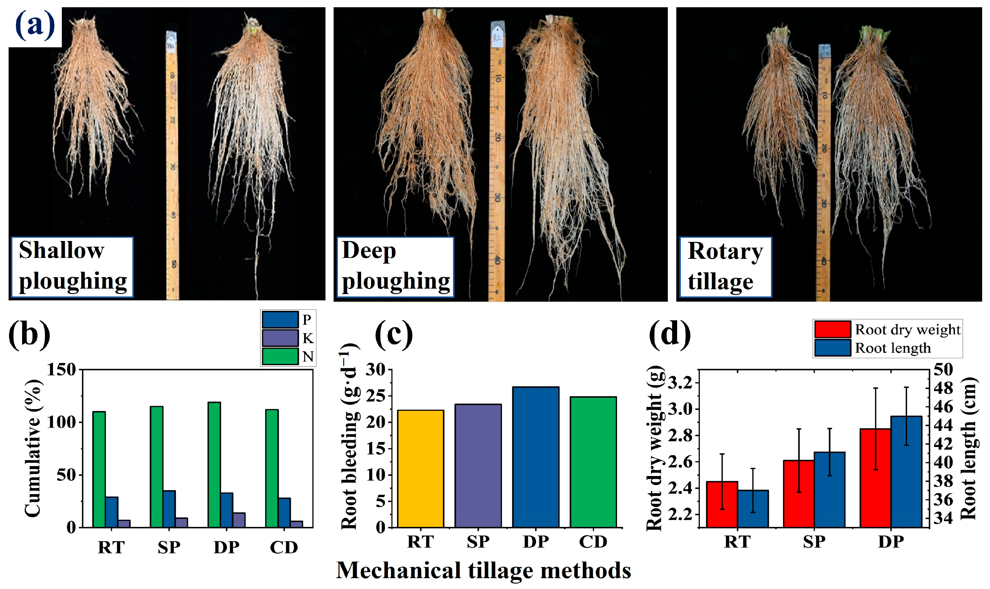 Agriculture 15 01145 g005